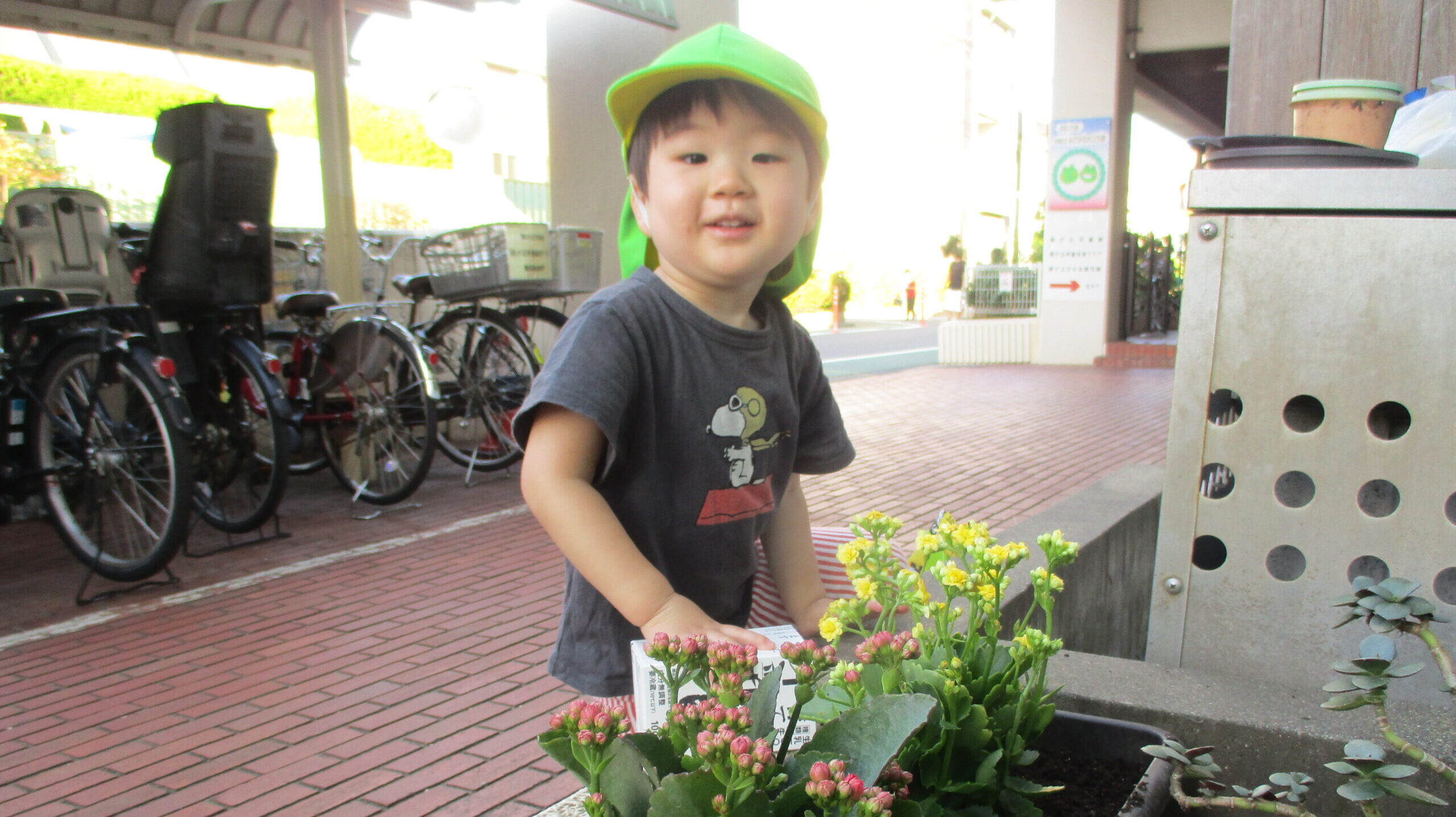 毎日の保育