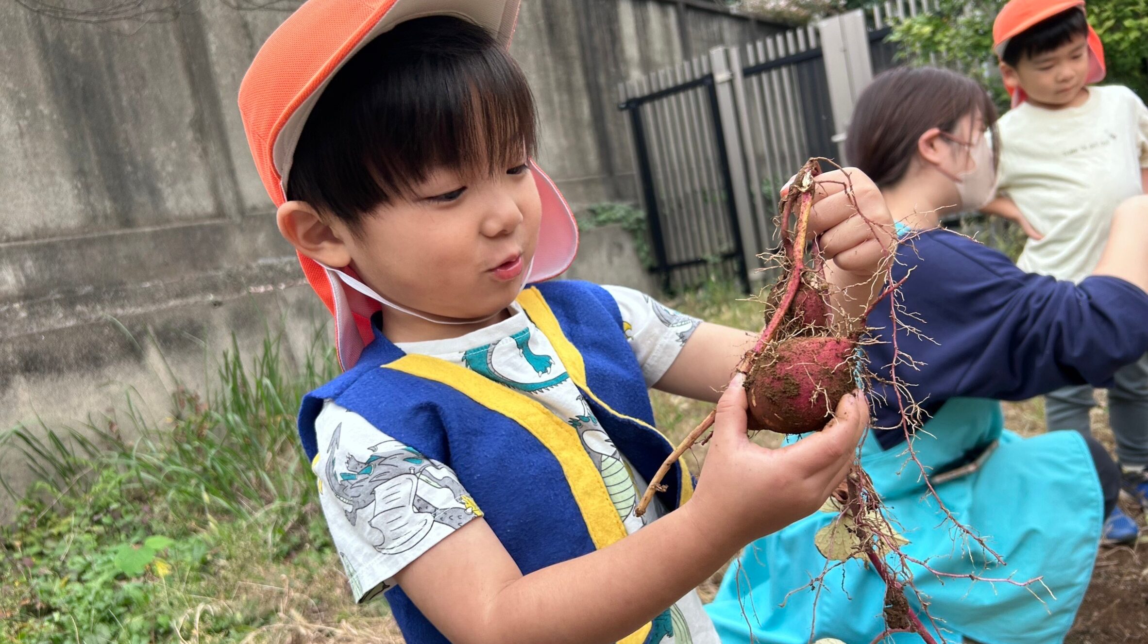 毎日の保育