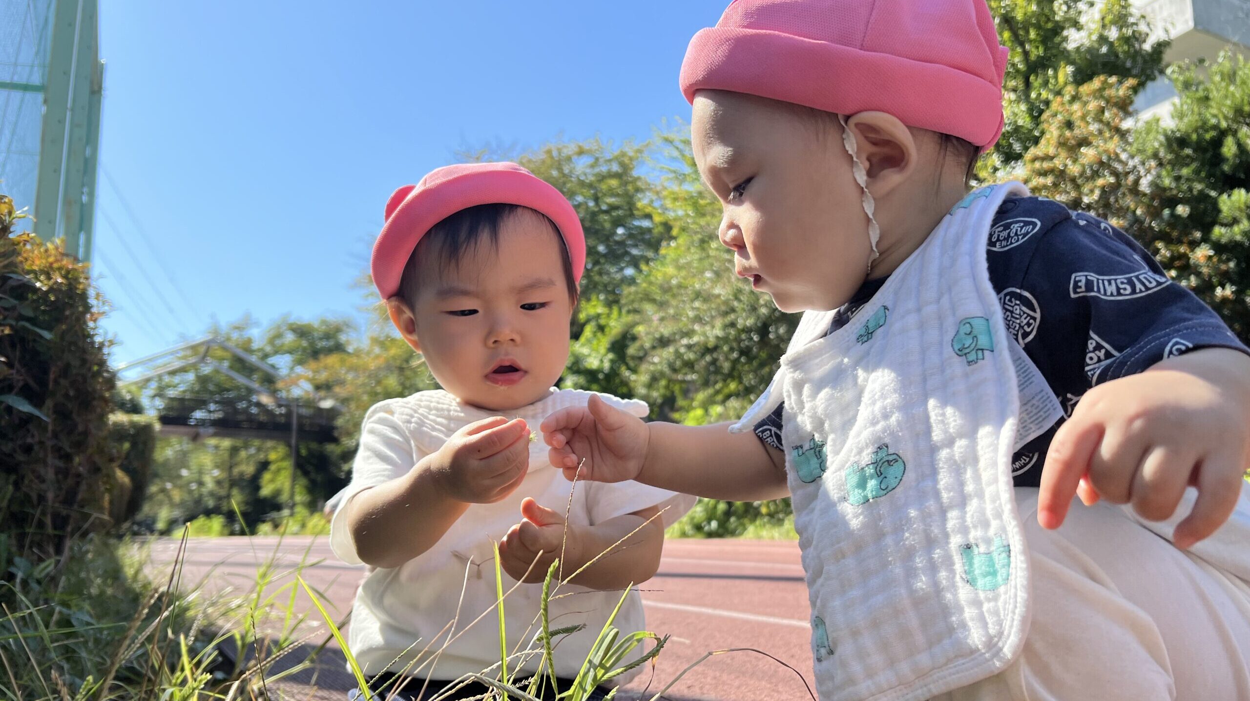 毎日の保育