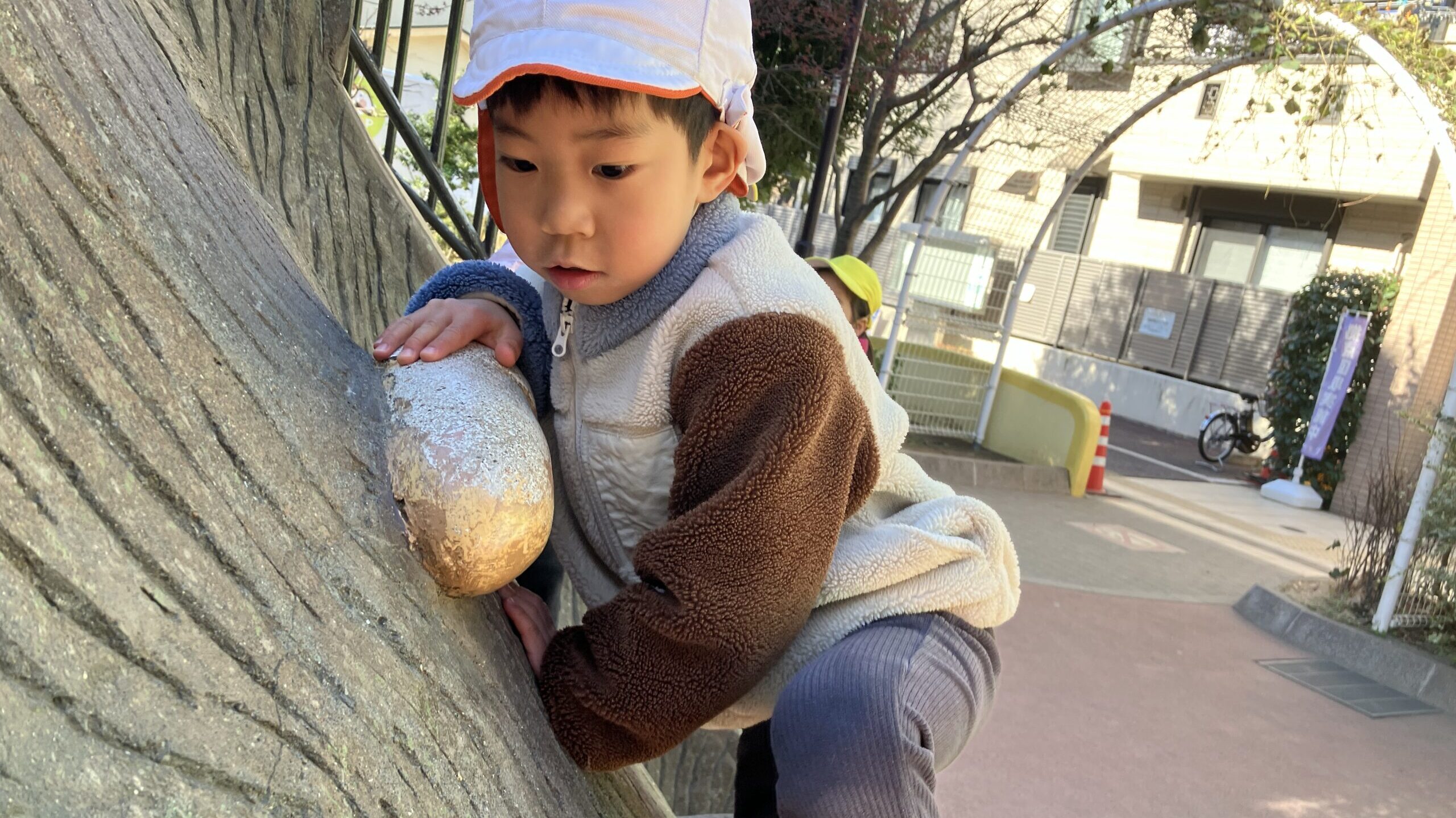 毎日の保育