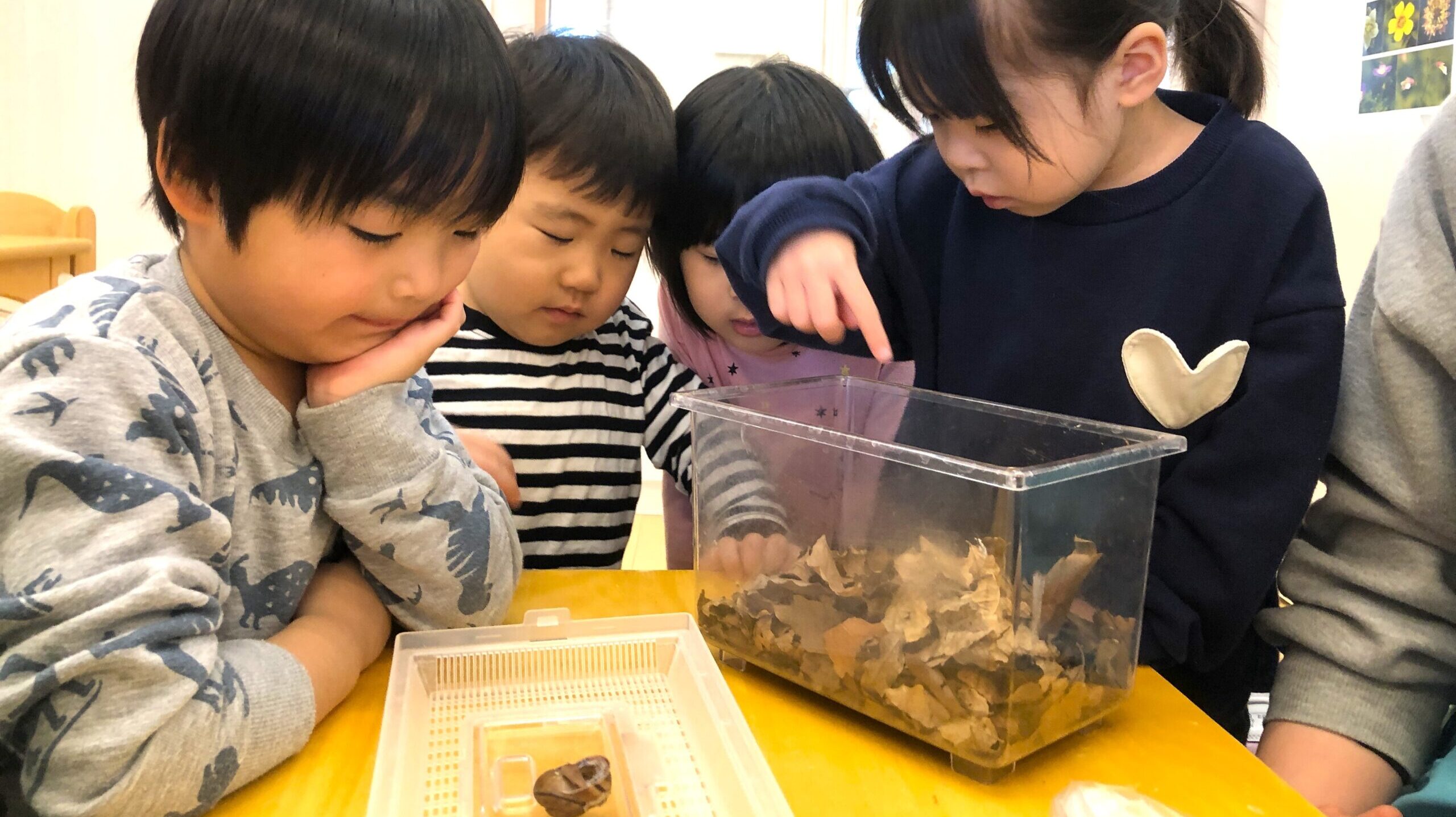 毎日の保育