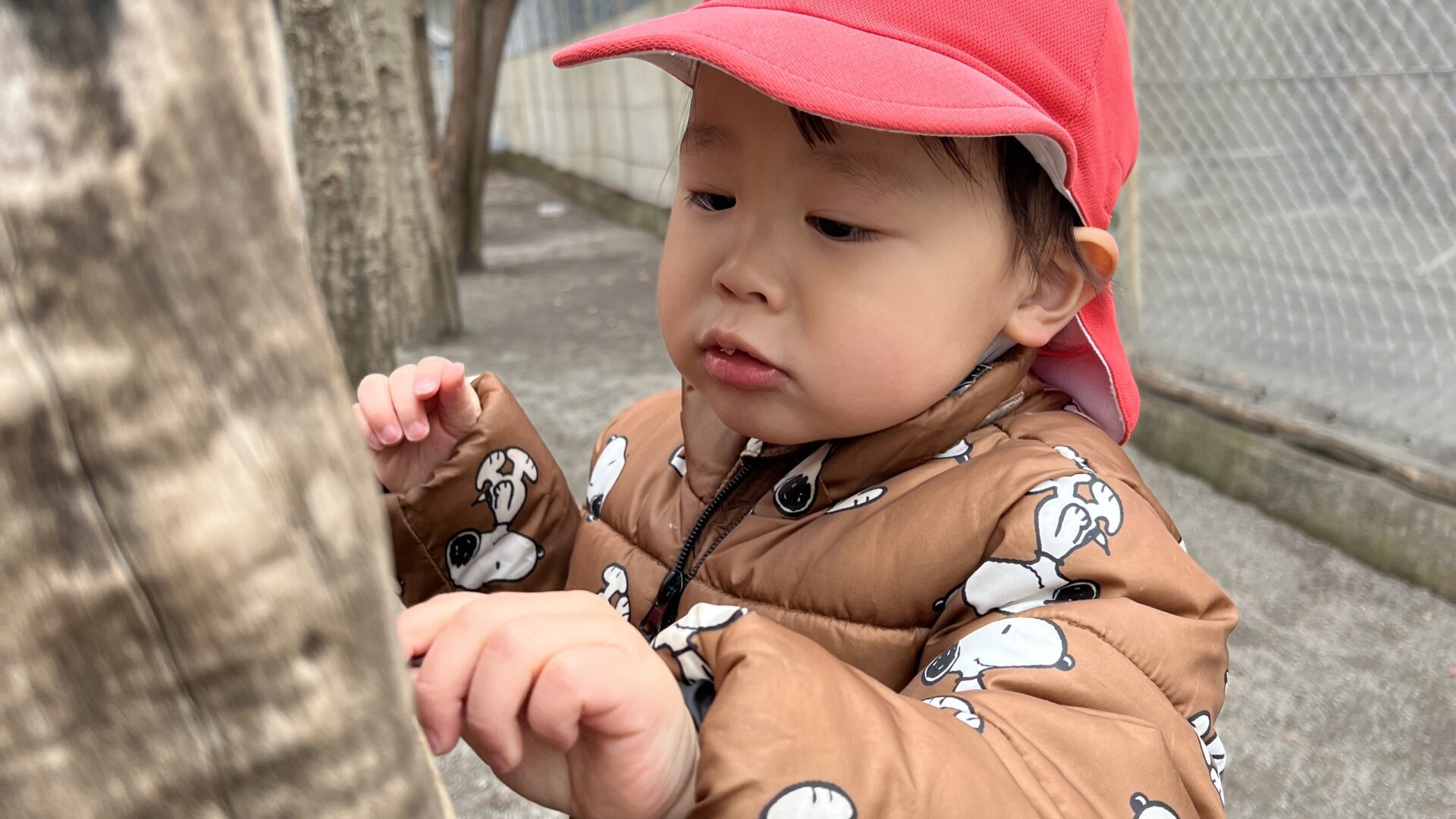 毎日の保育