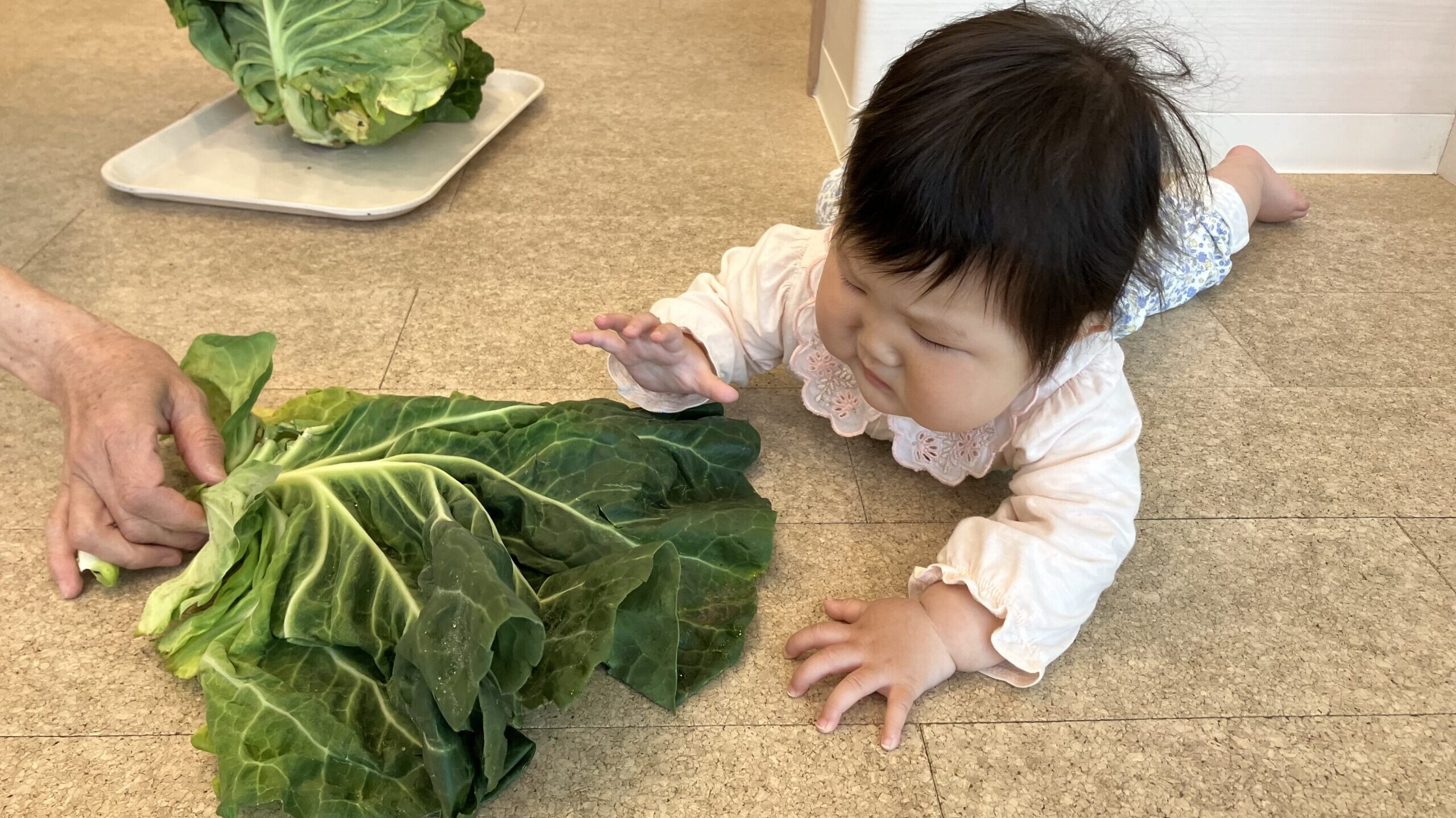 毎日の保育