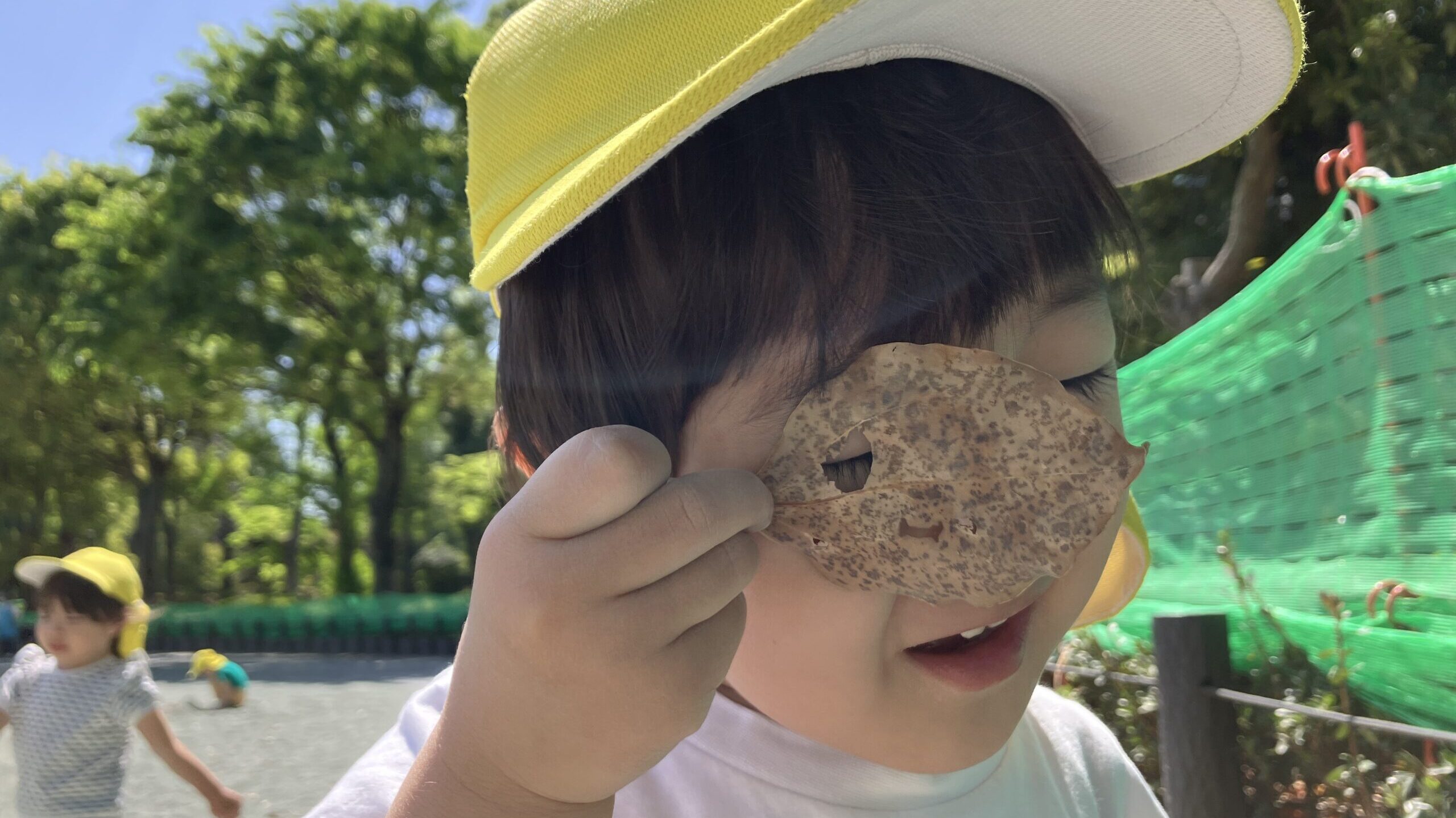 毎日の保育