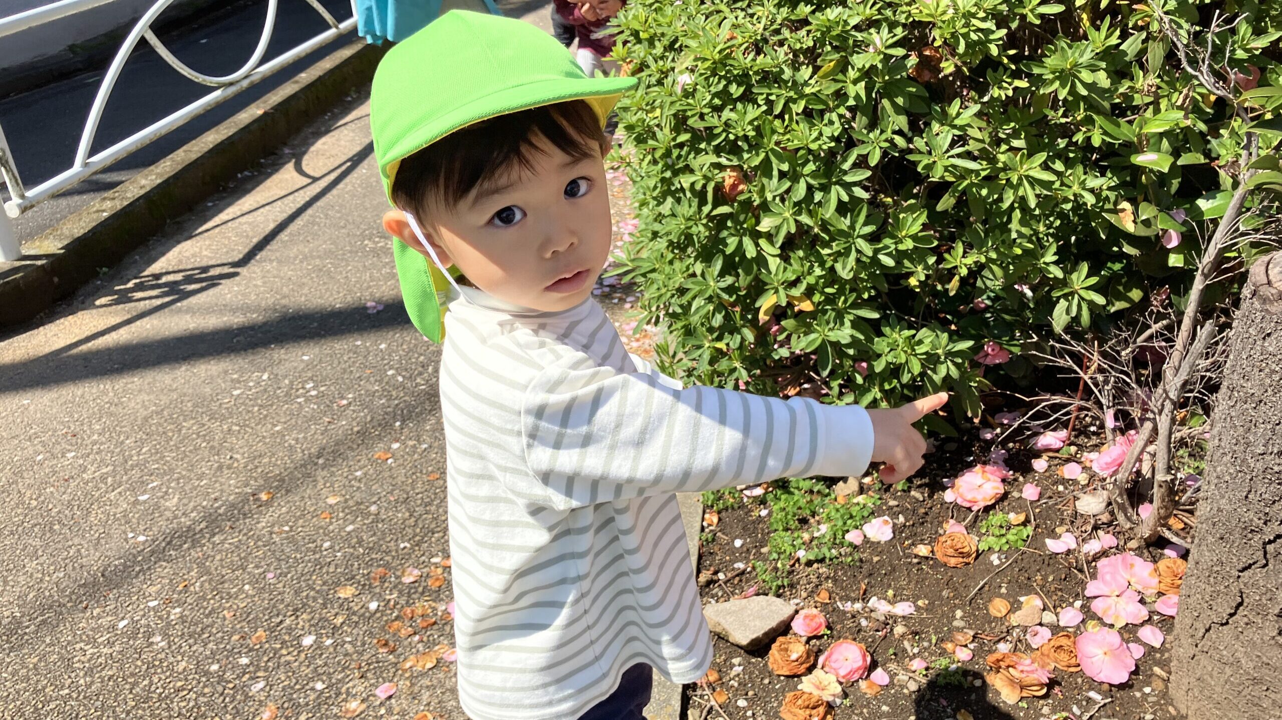 毎日の保育