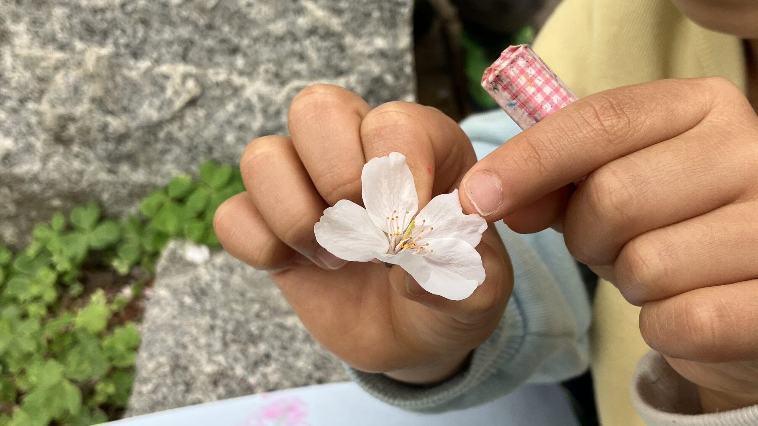 毎日の保育