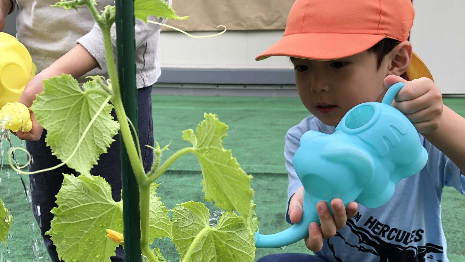 毎日の保育
