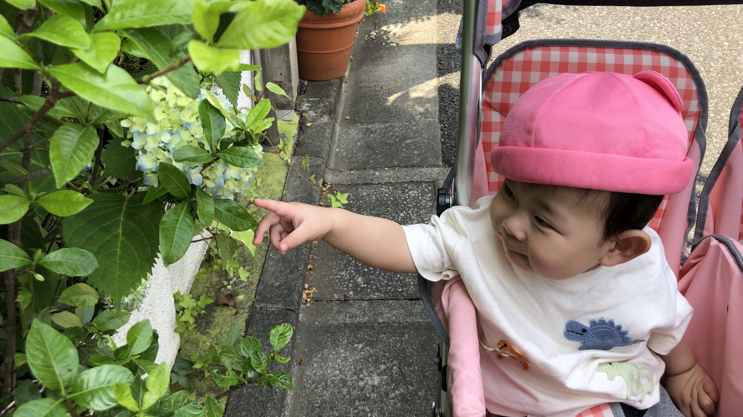 毎日の保育