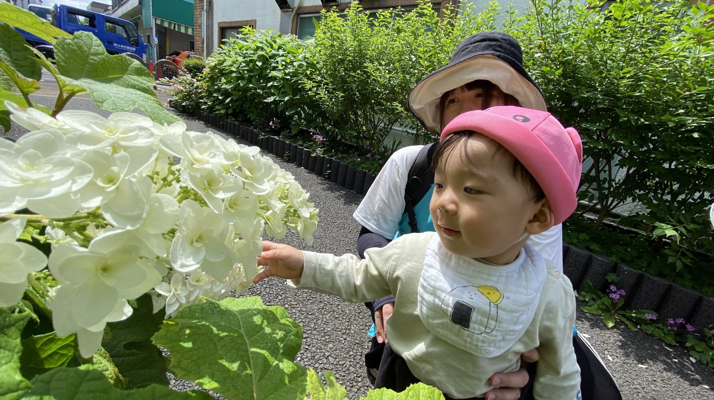 毎日の保育