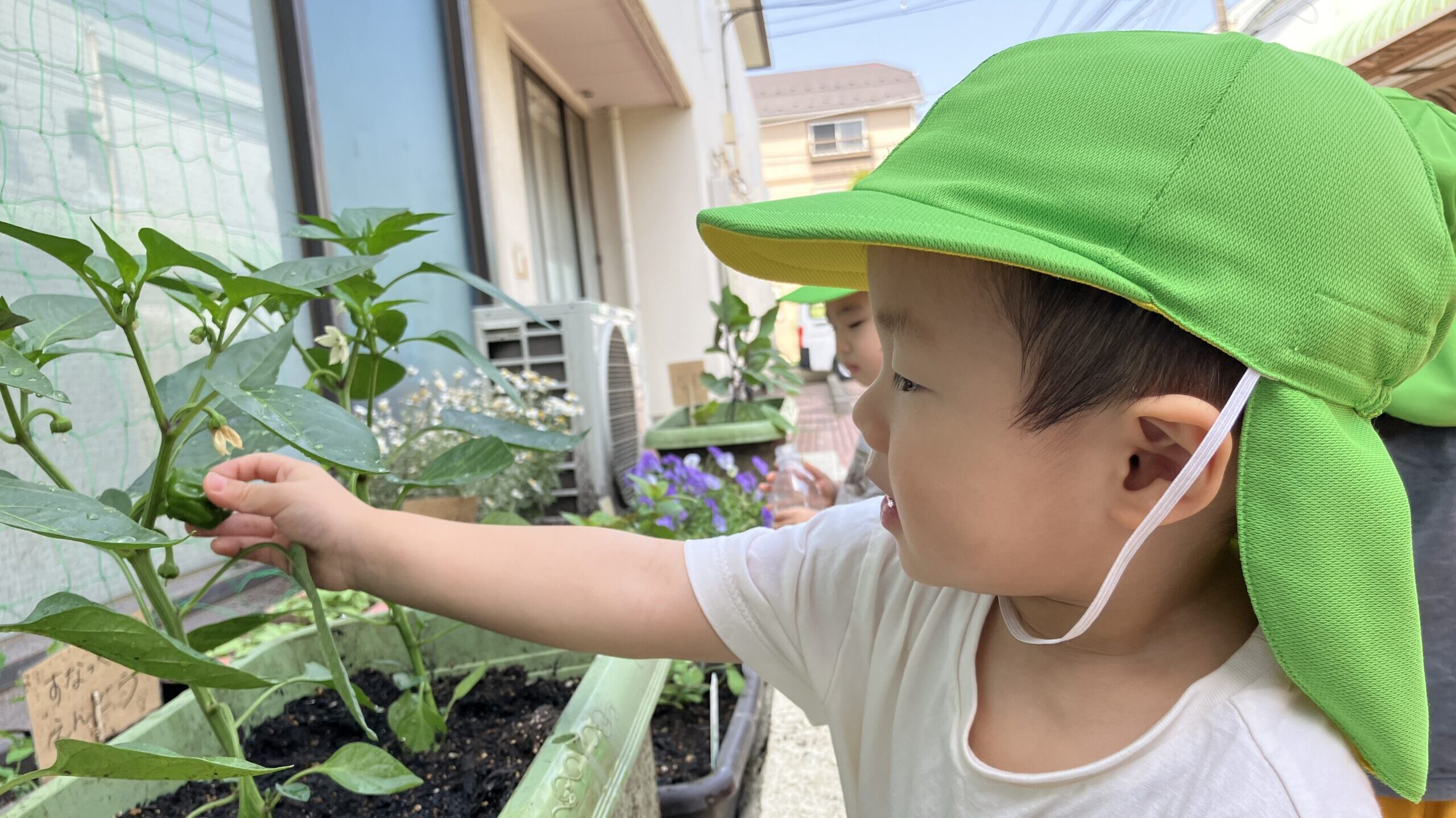 毎日の保育