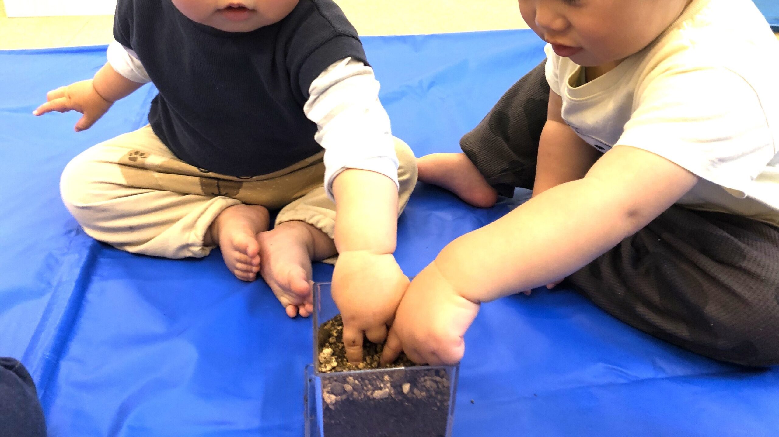 毎日の保育