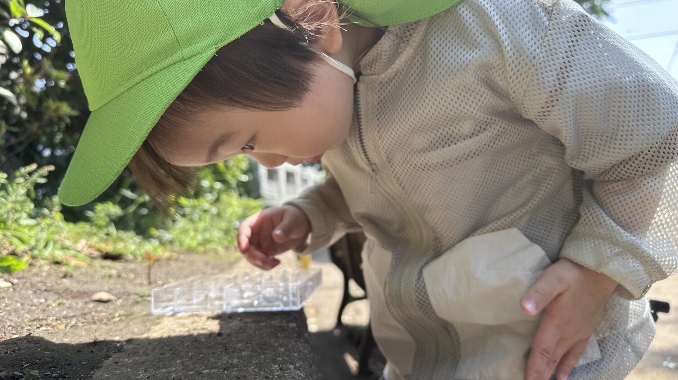 毎日の保育