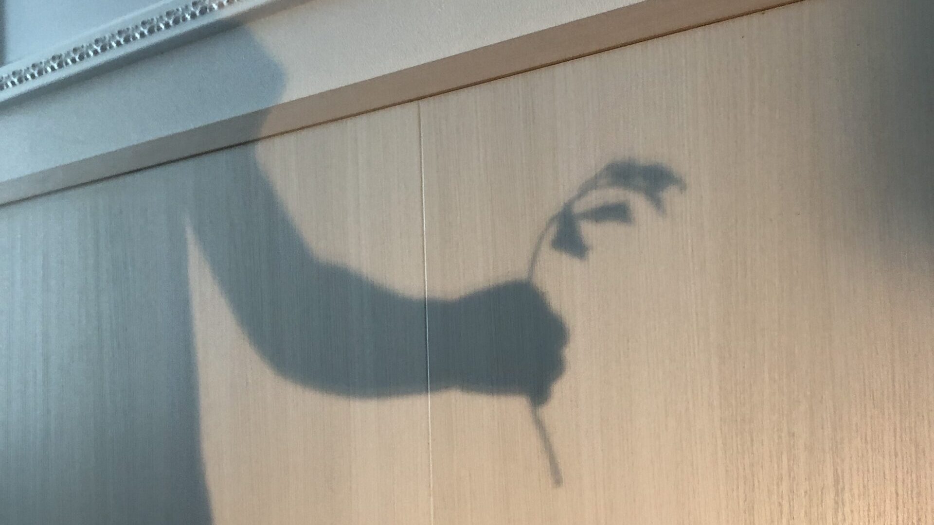毎日の保育