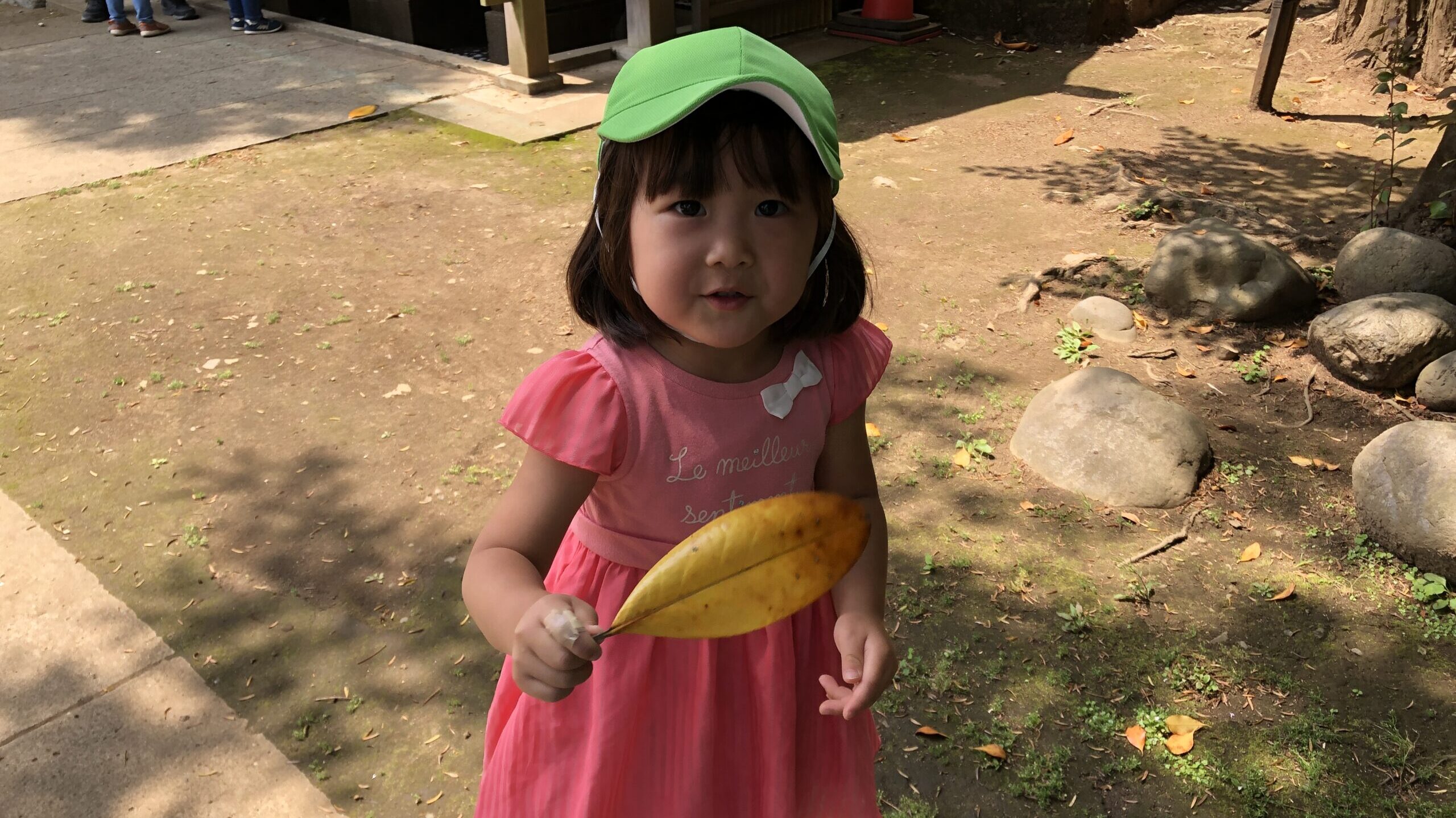 毎日の保育