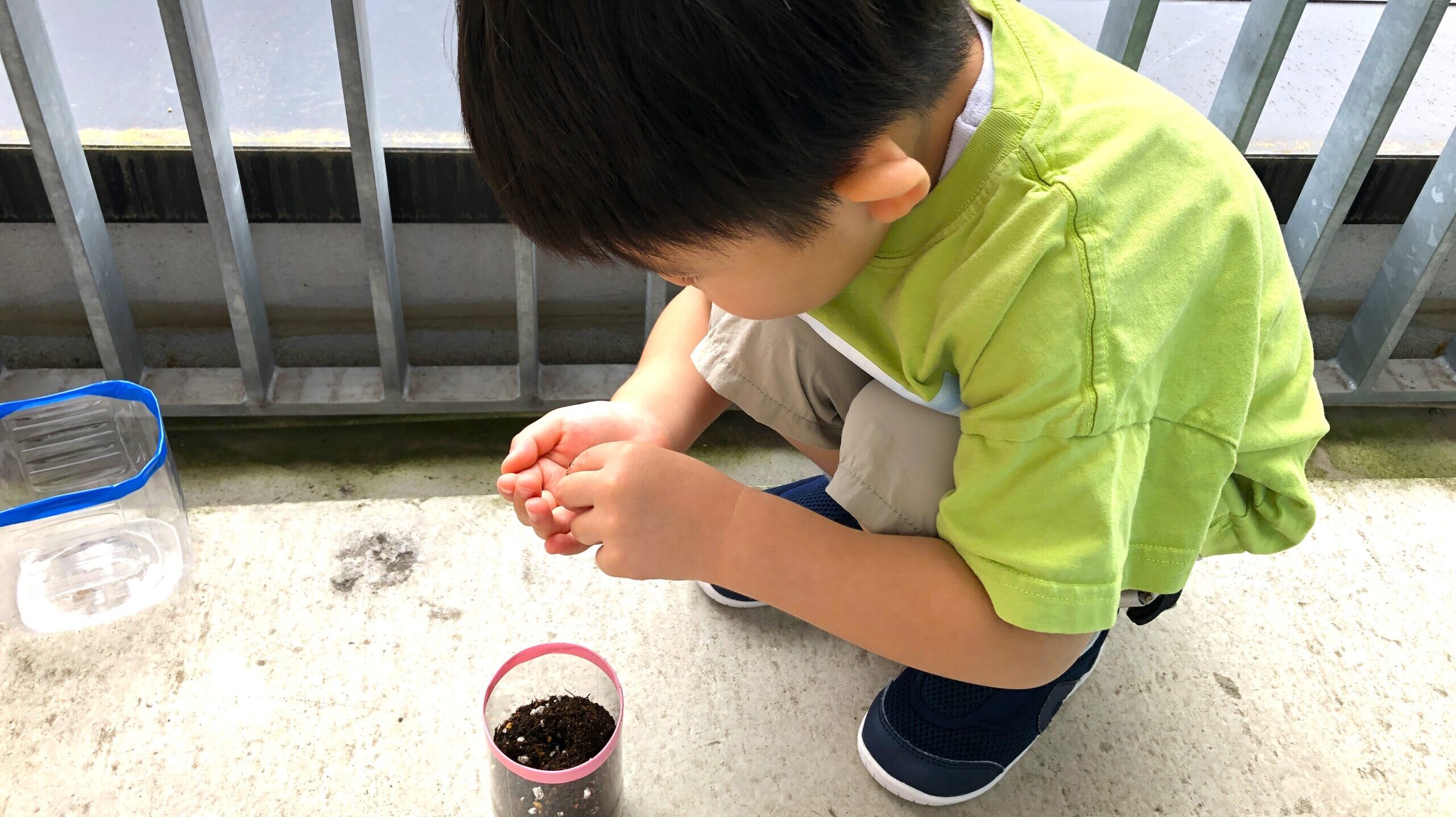 毎日の保育