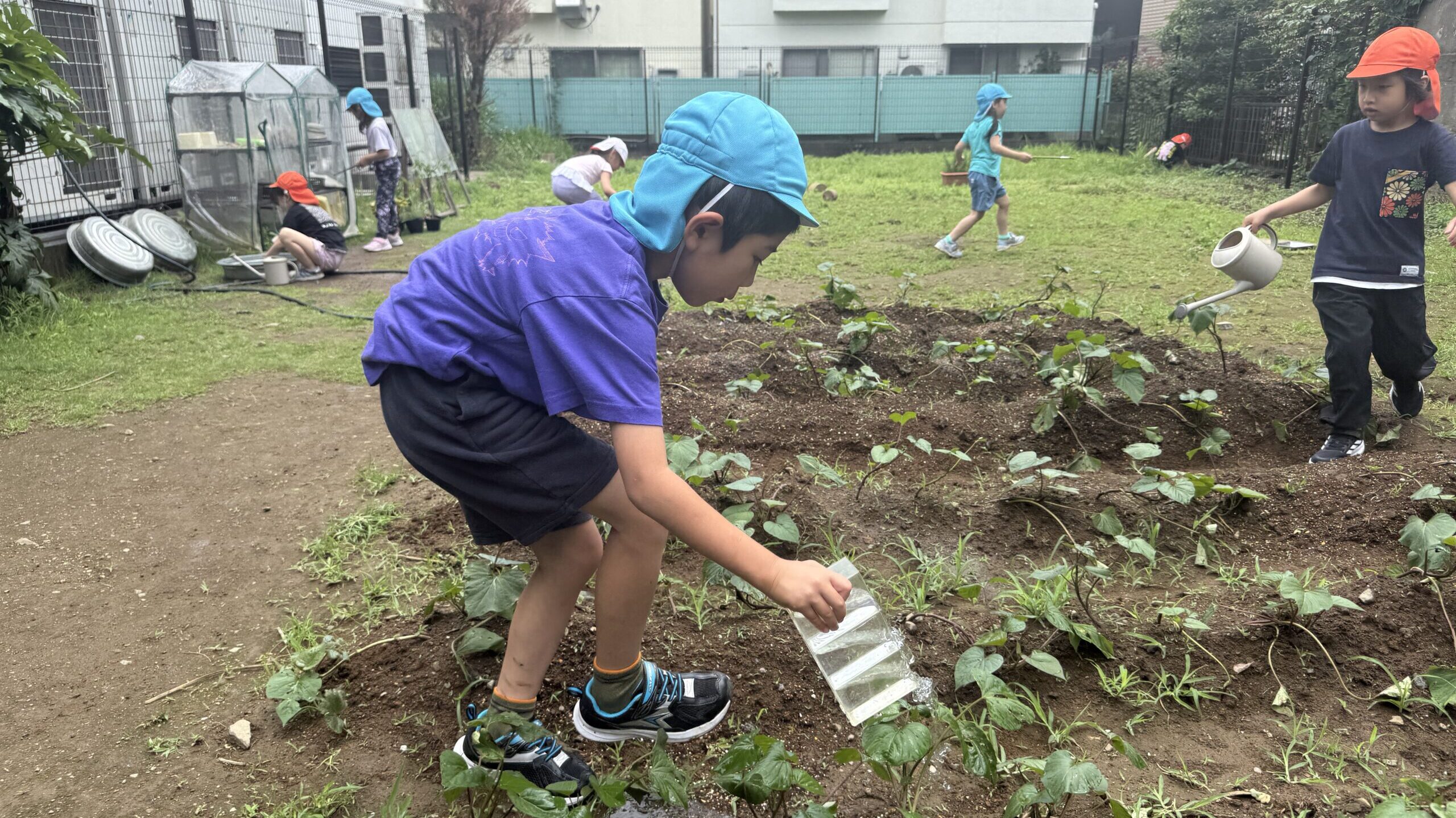 毎日の保育