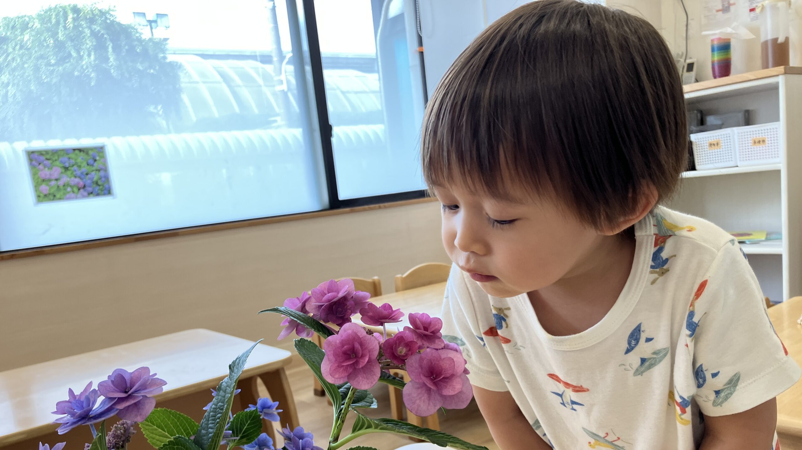 毎日の保育