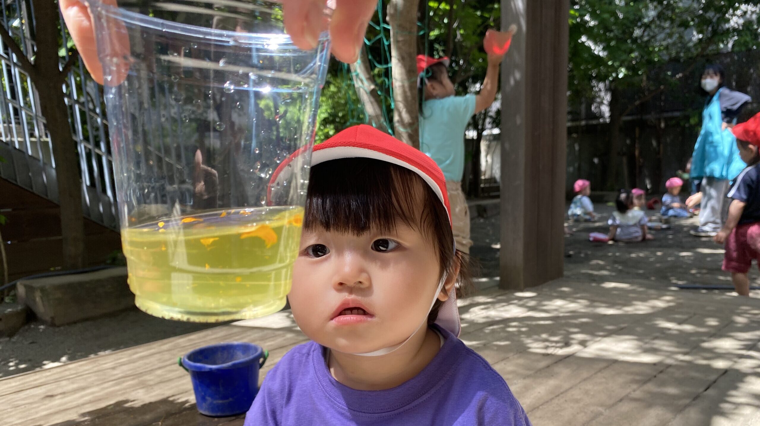 毎日の保育