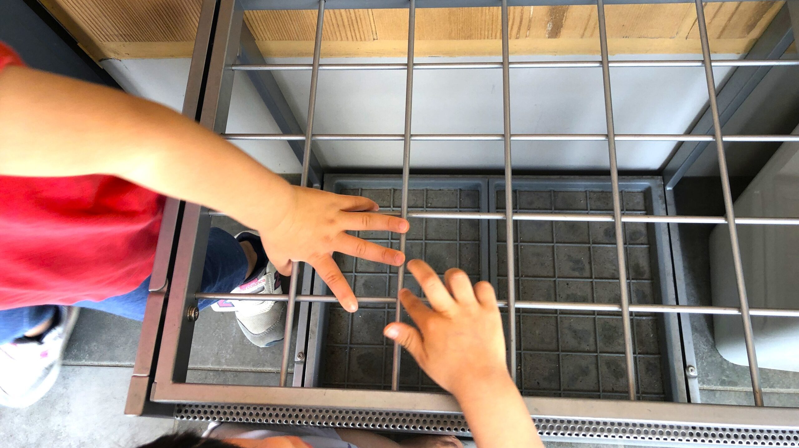毎日の保育
