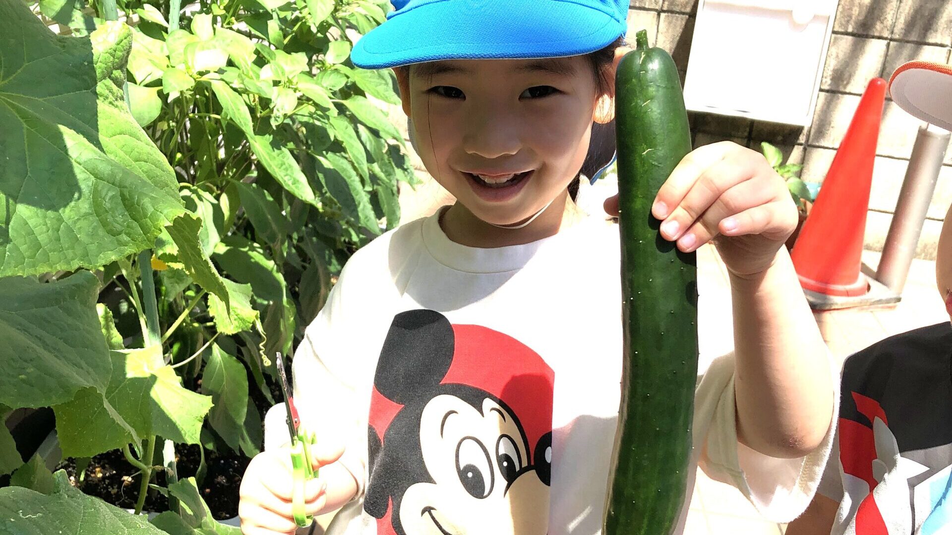 毎日の保育