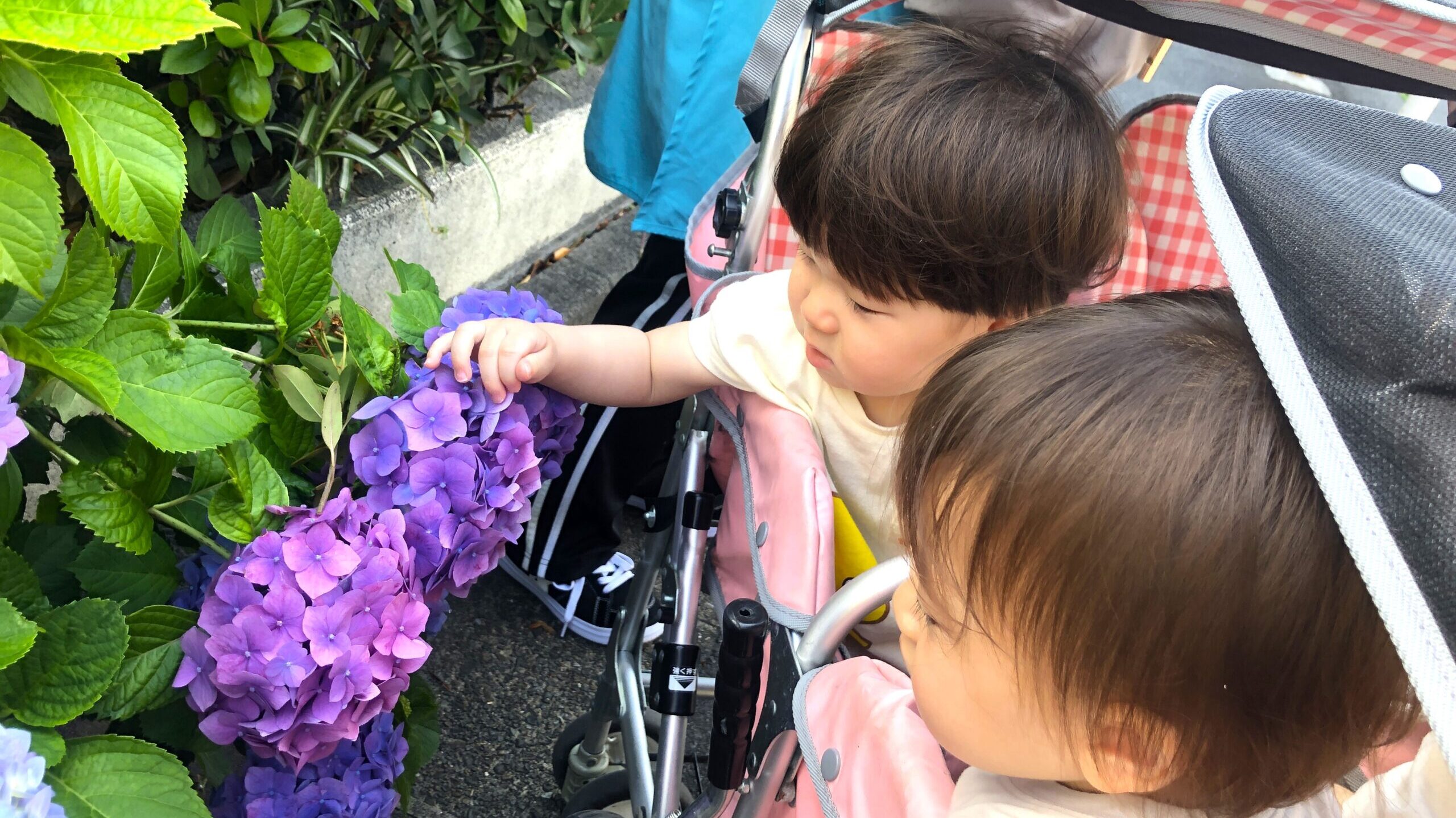 毎日の保育