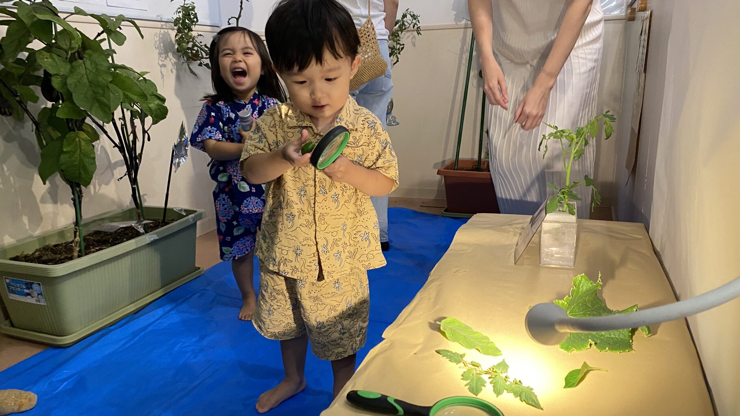 毎日の保育