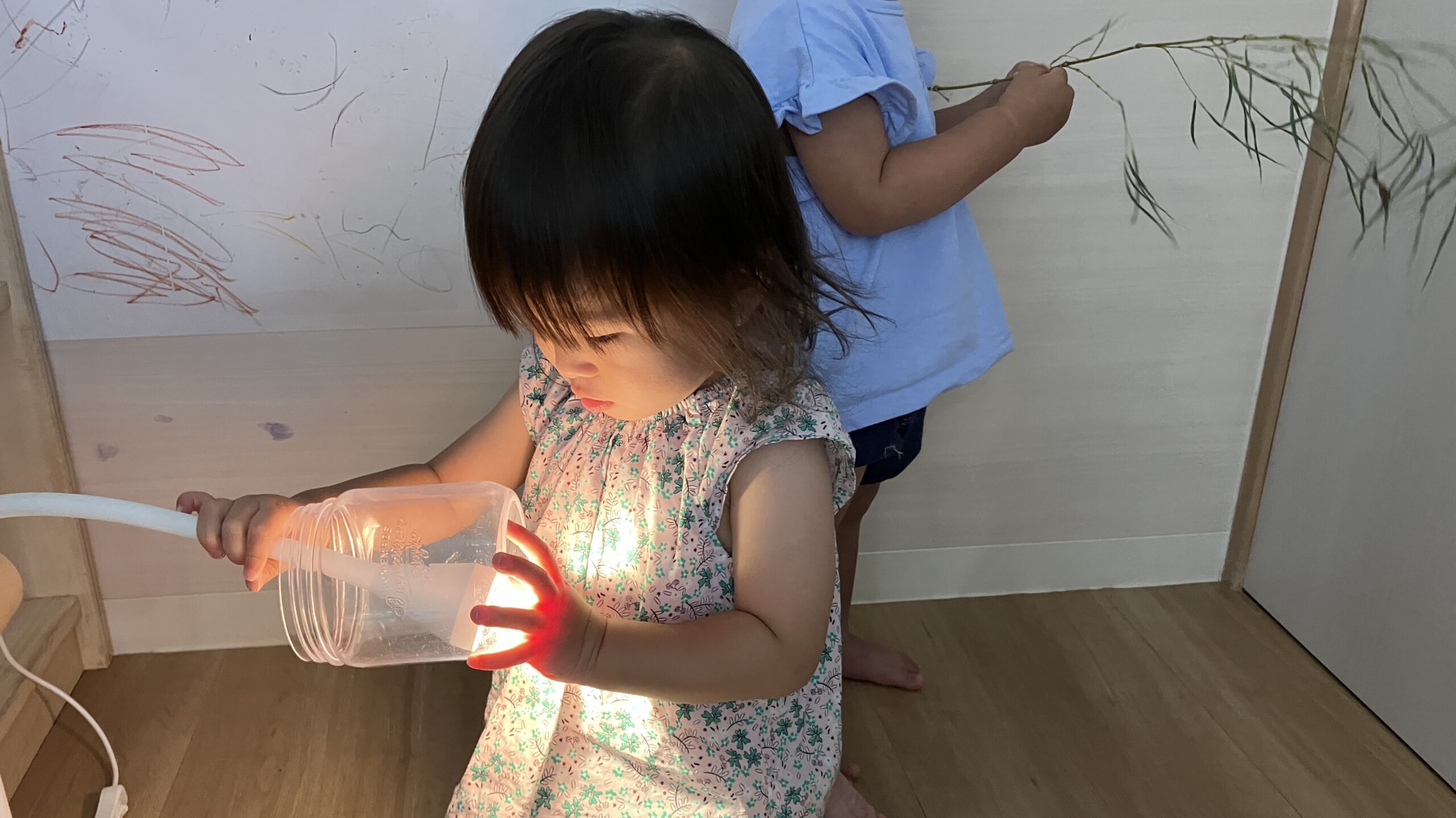 毎日の保育