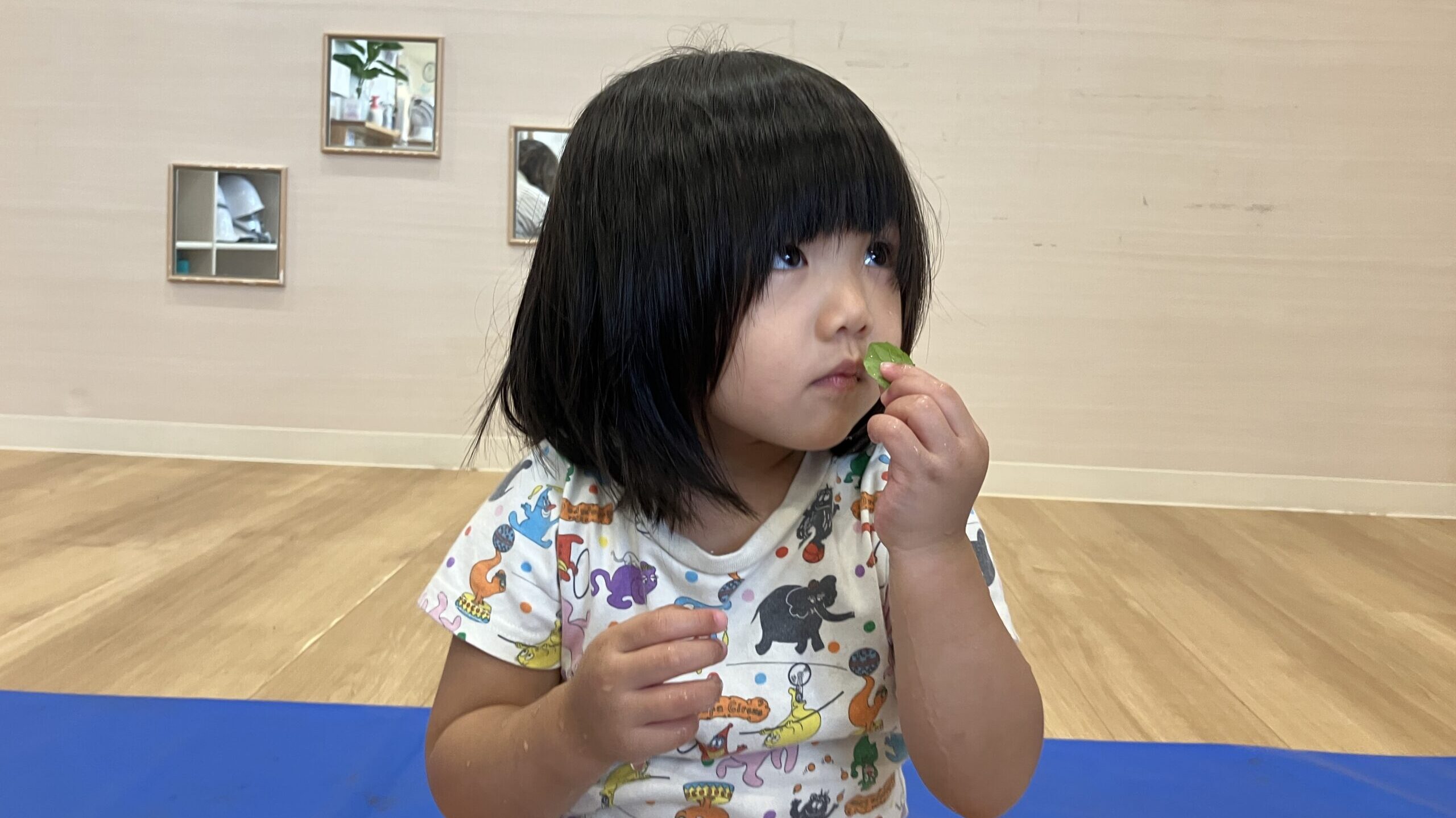 毎日の保育
