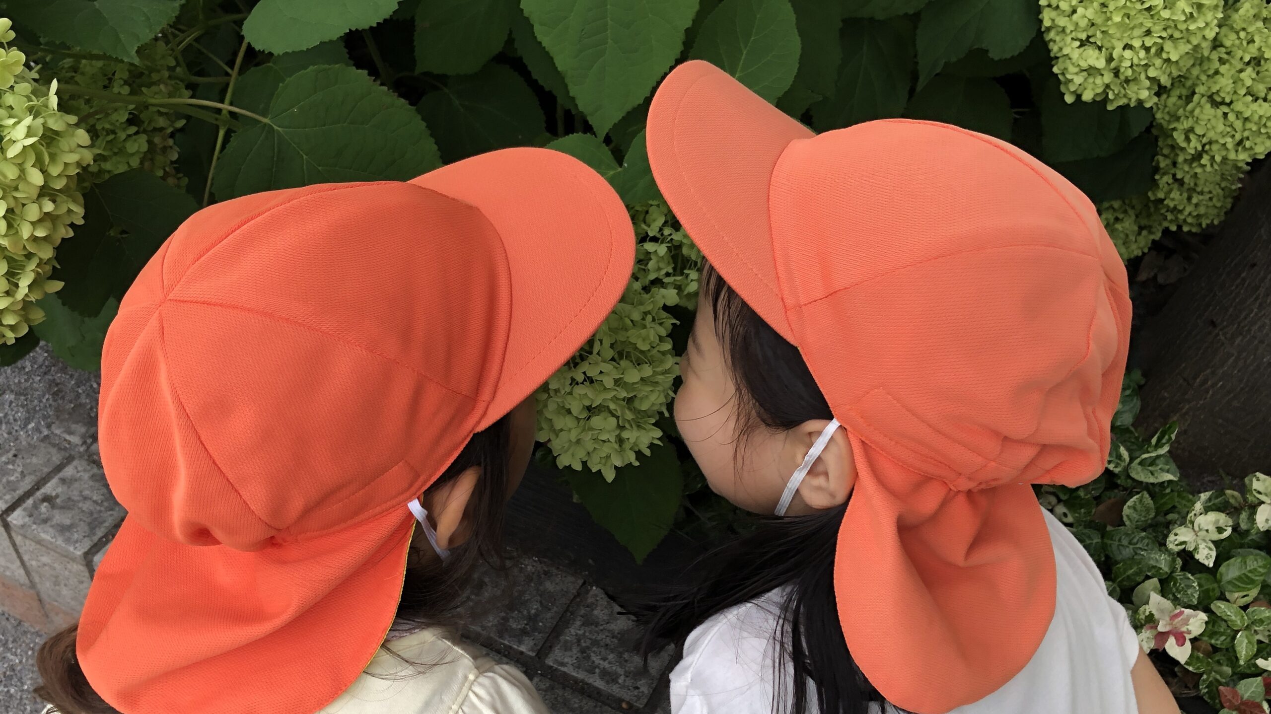 毎日の保育