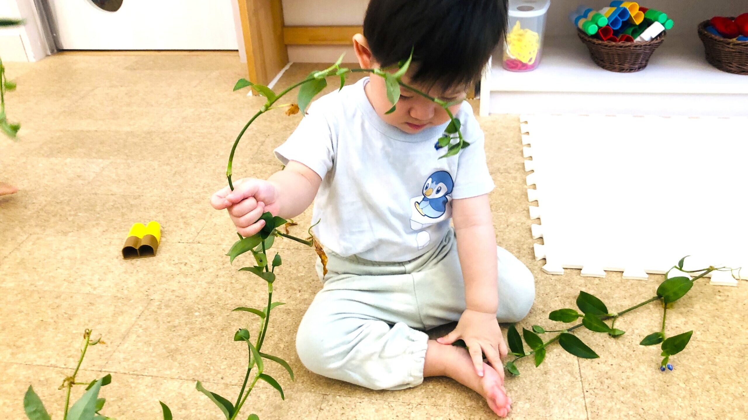 毎日の保育