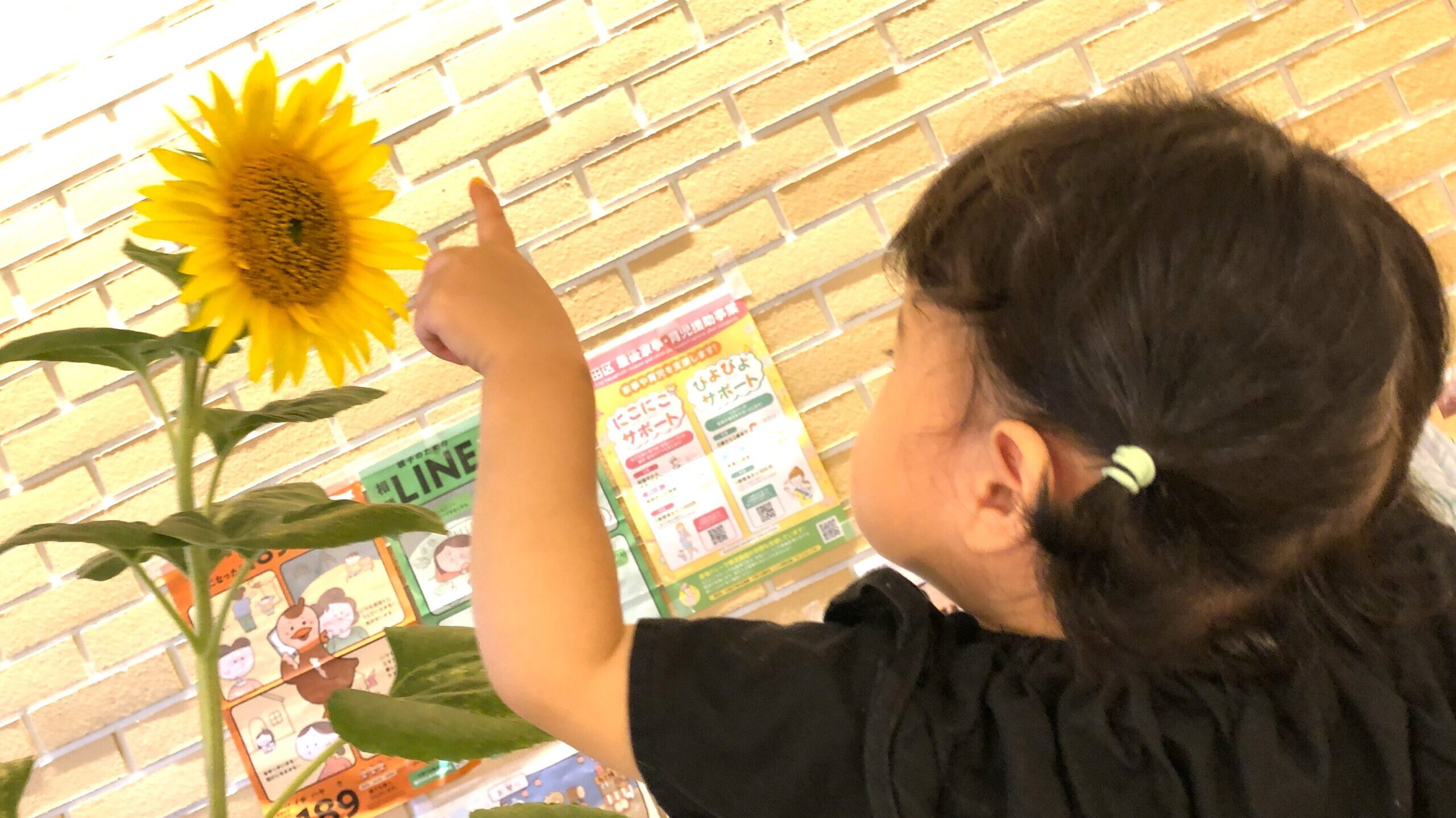 毎日の保育