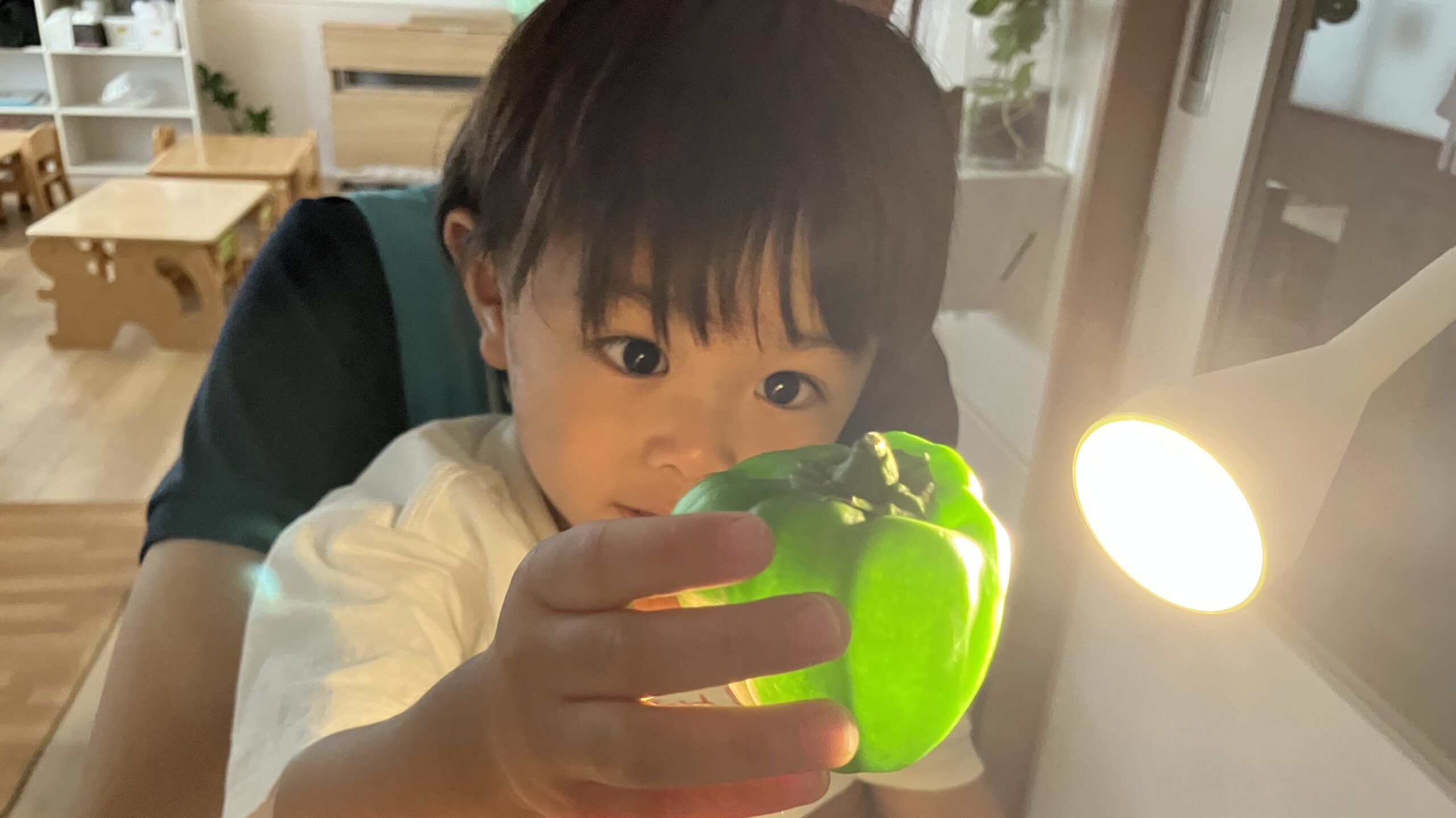 毎日の保育
