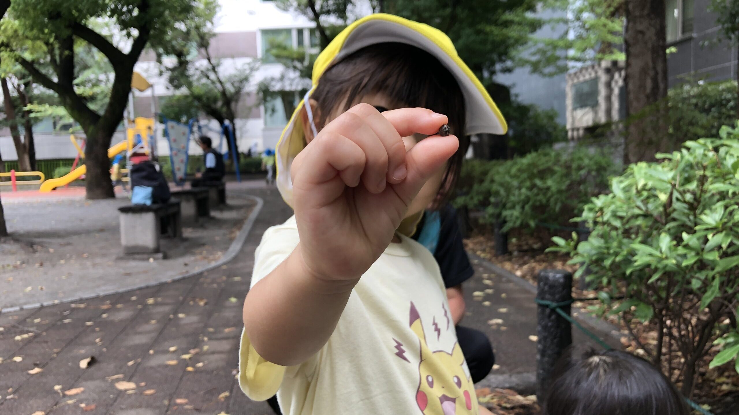毎日の保育