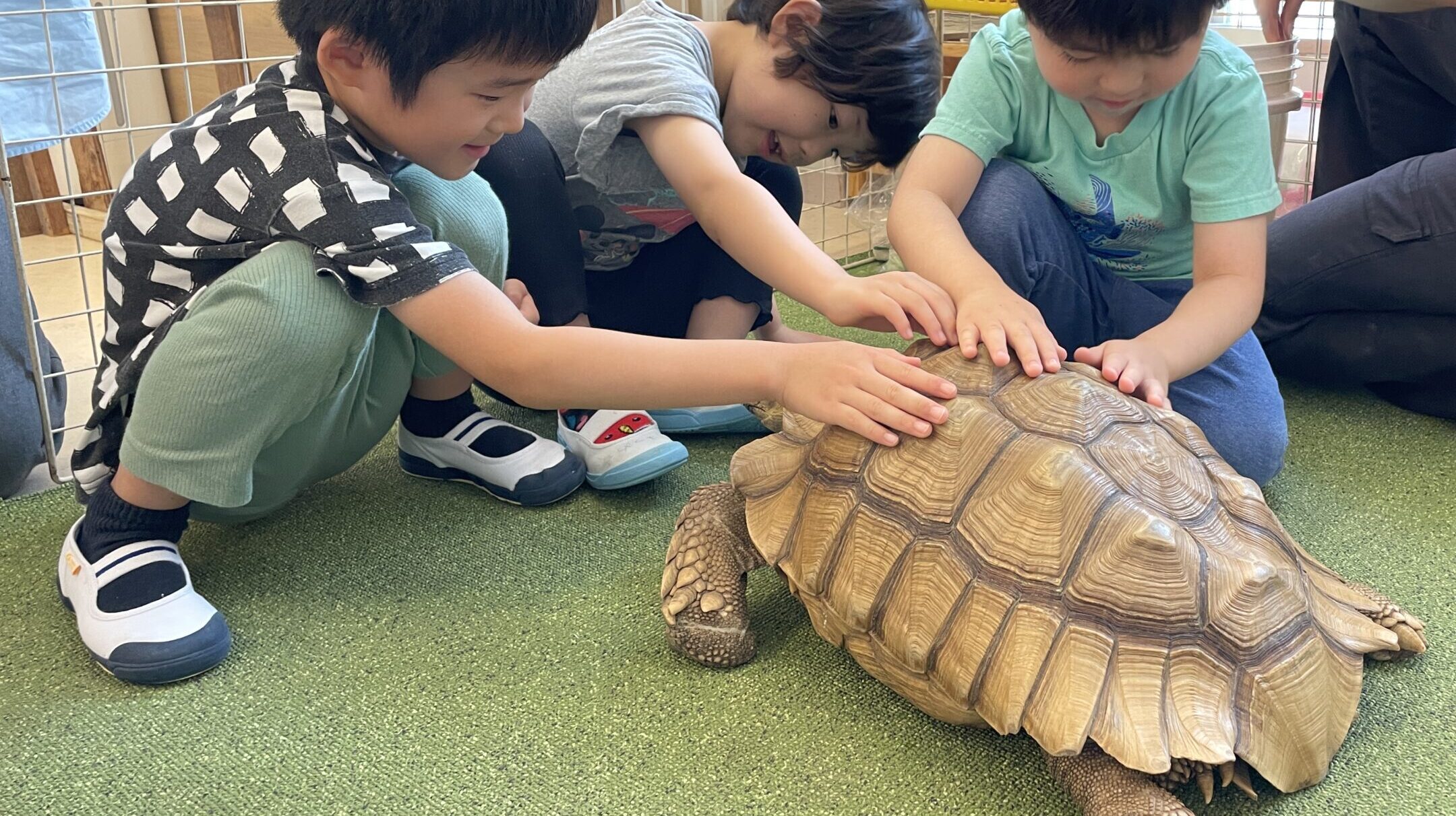 毎日の保育