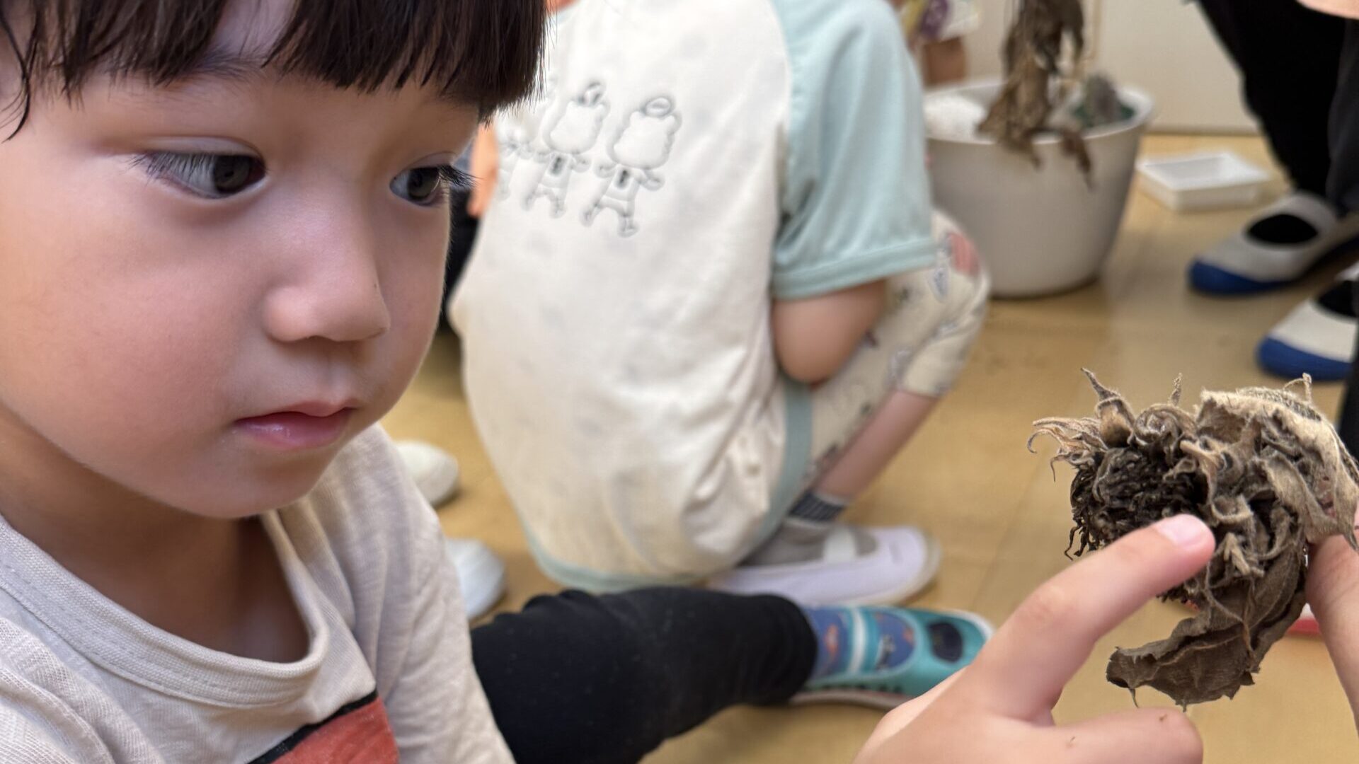 毎日の保育