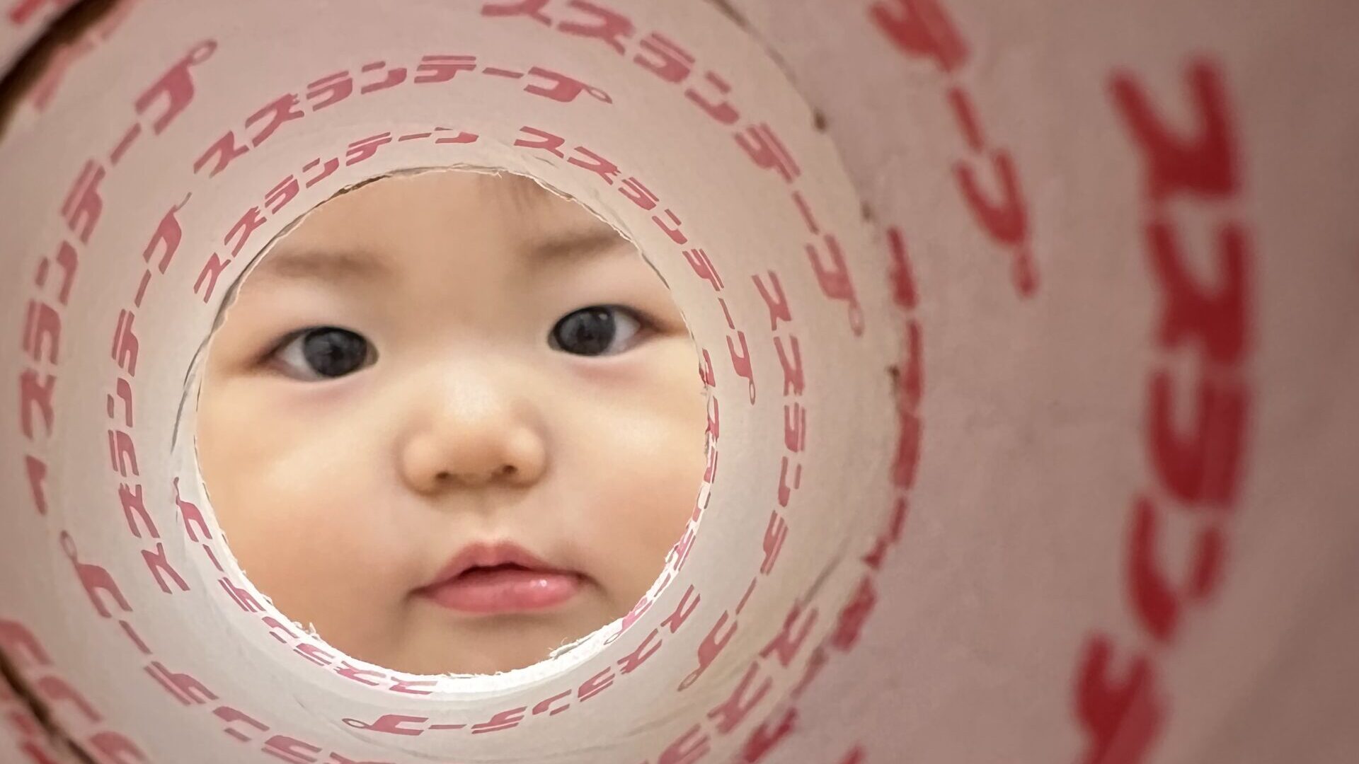 毎日の保育