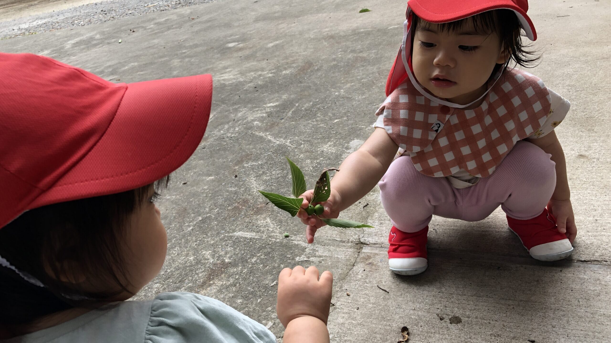 毎日の保育