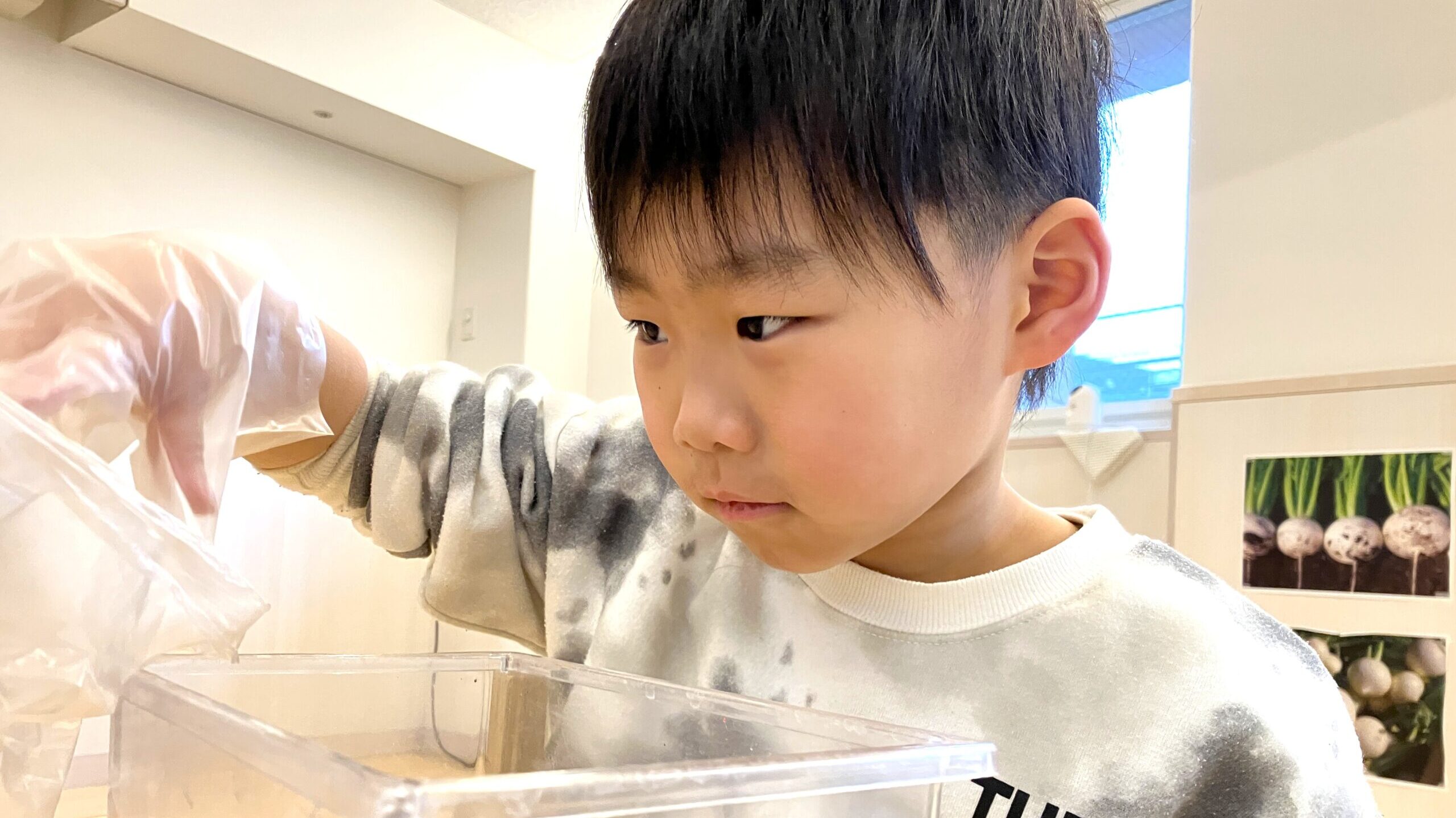 毎日の保育