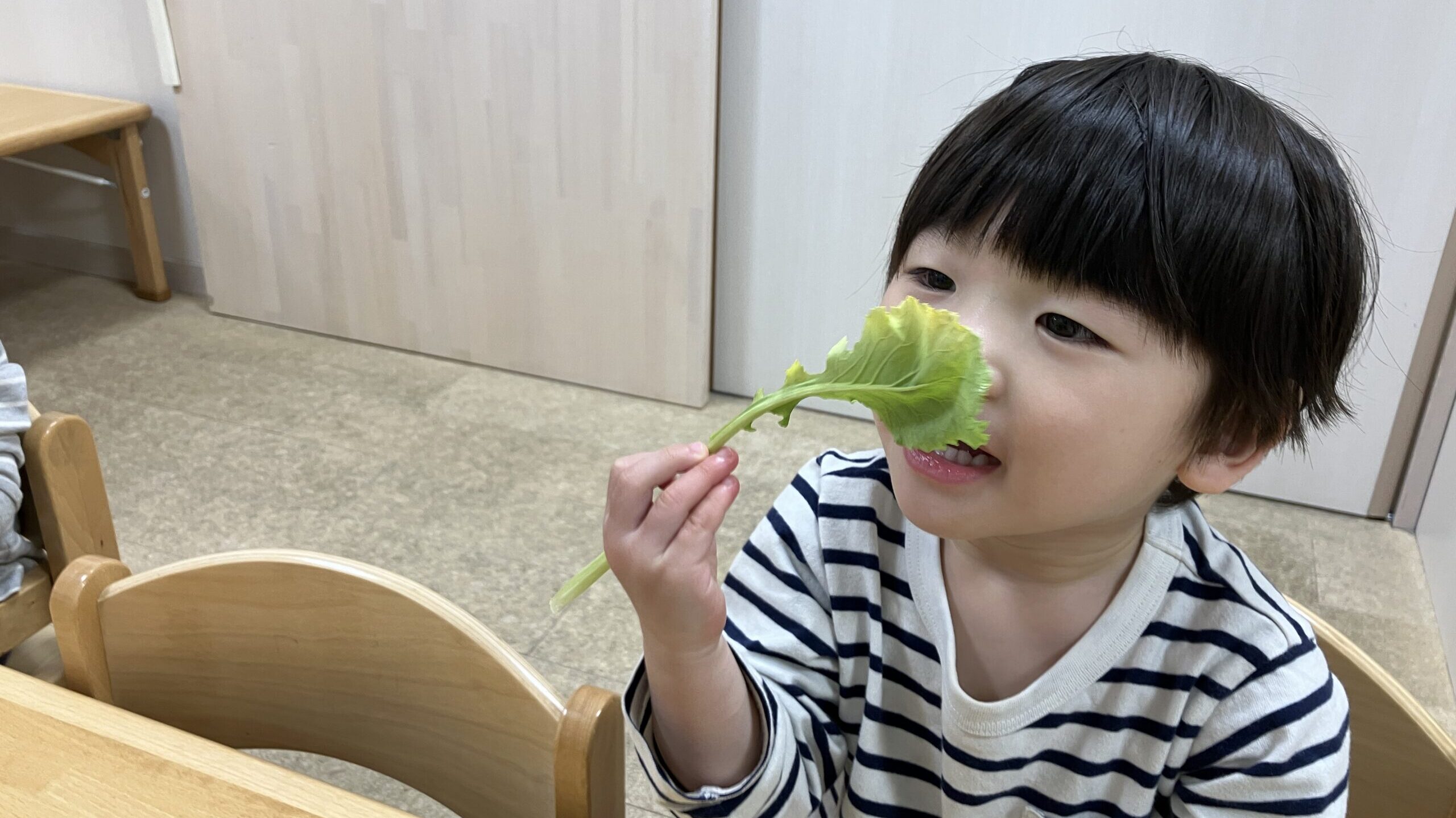 毎日の保育