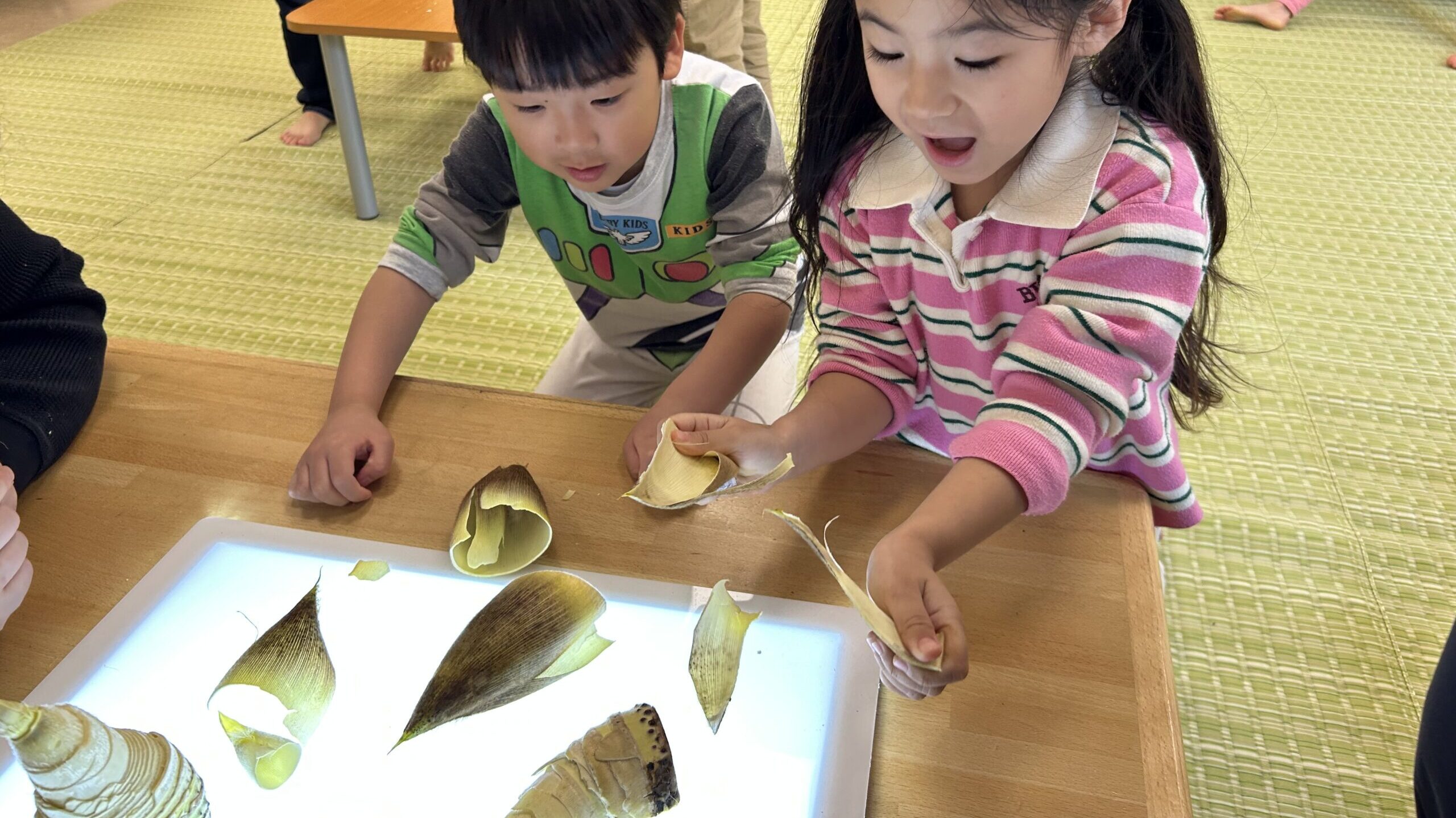 毎日の保育