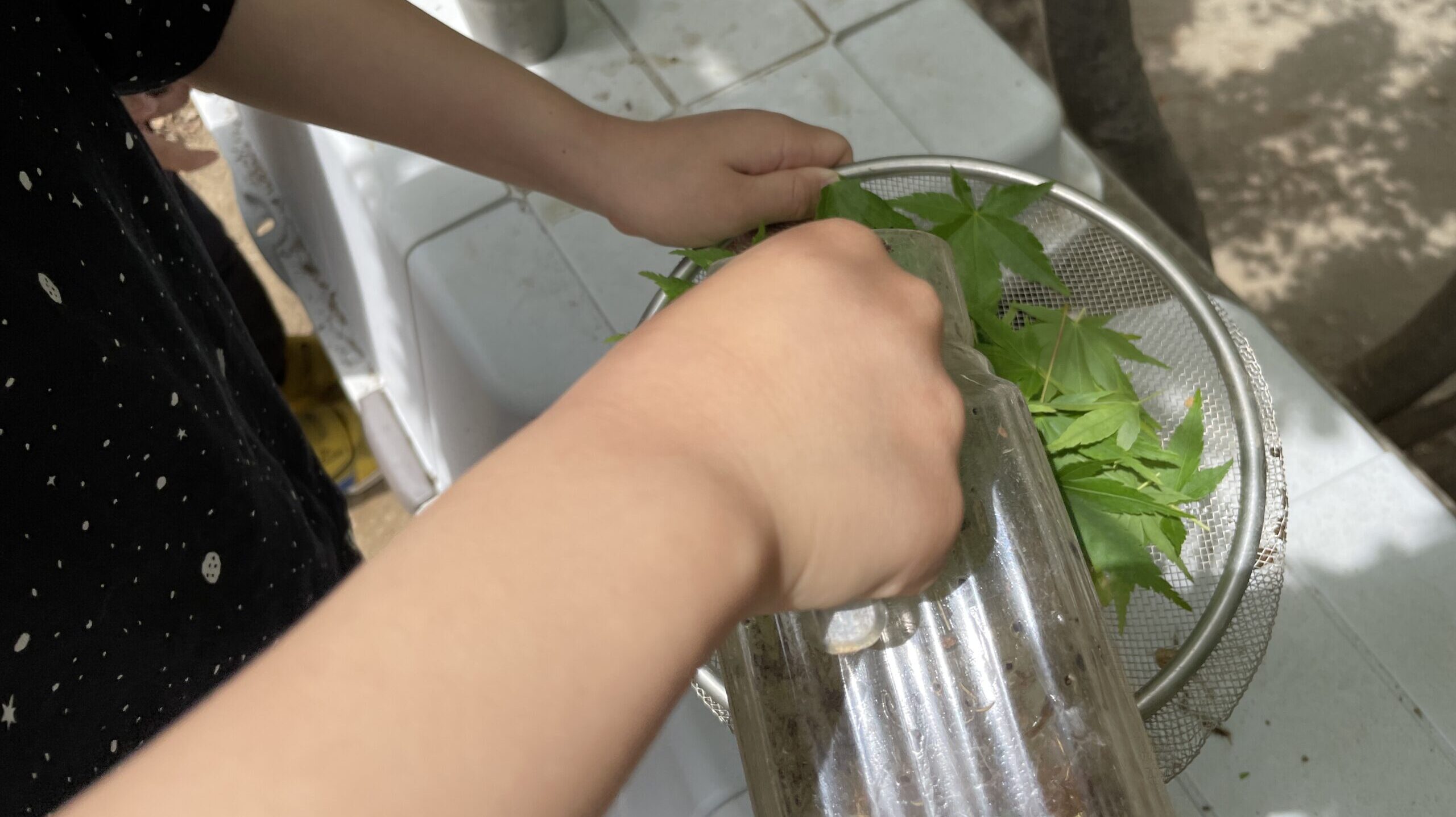 毎日の保育