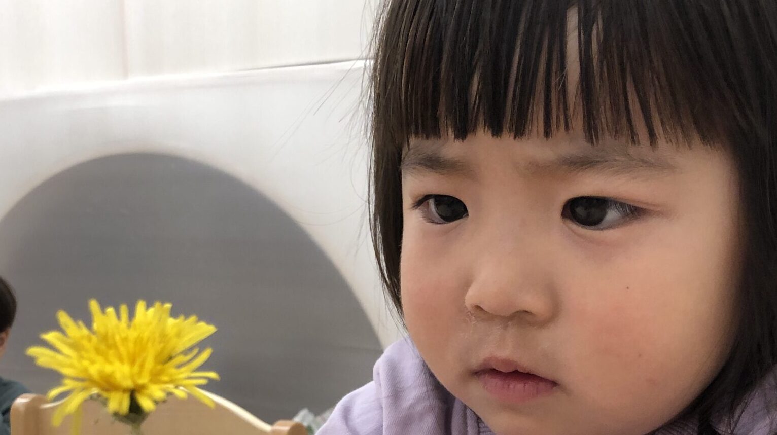毎日の保育