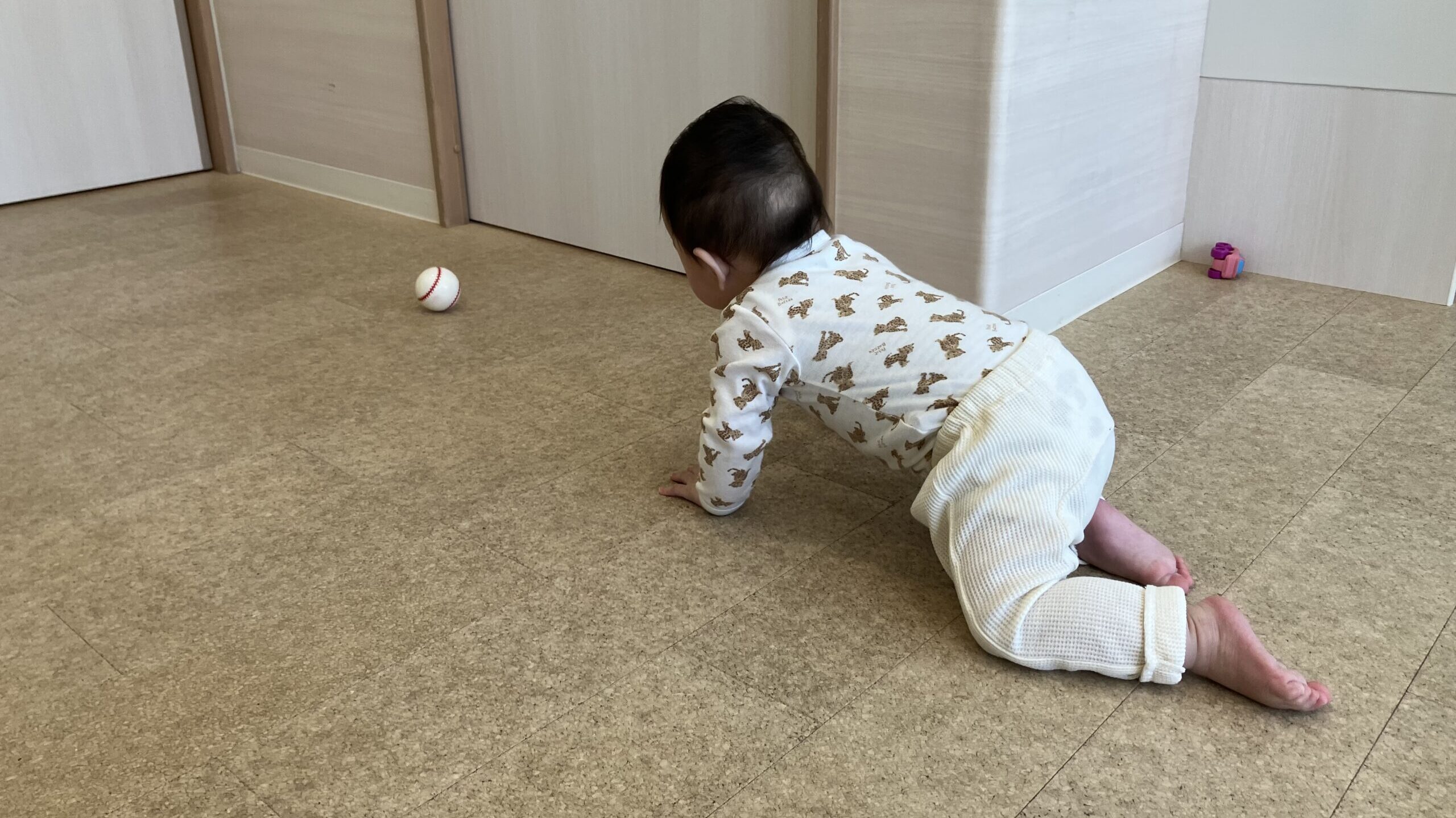 毎日の保育