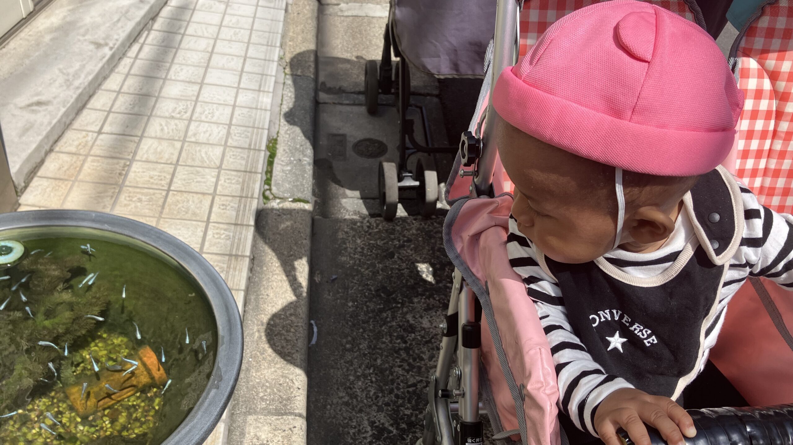 毎日の保育
