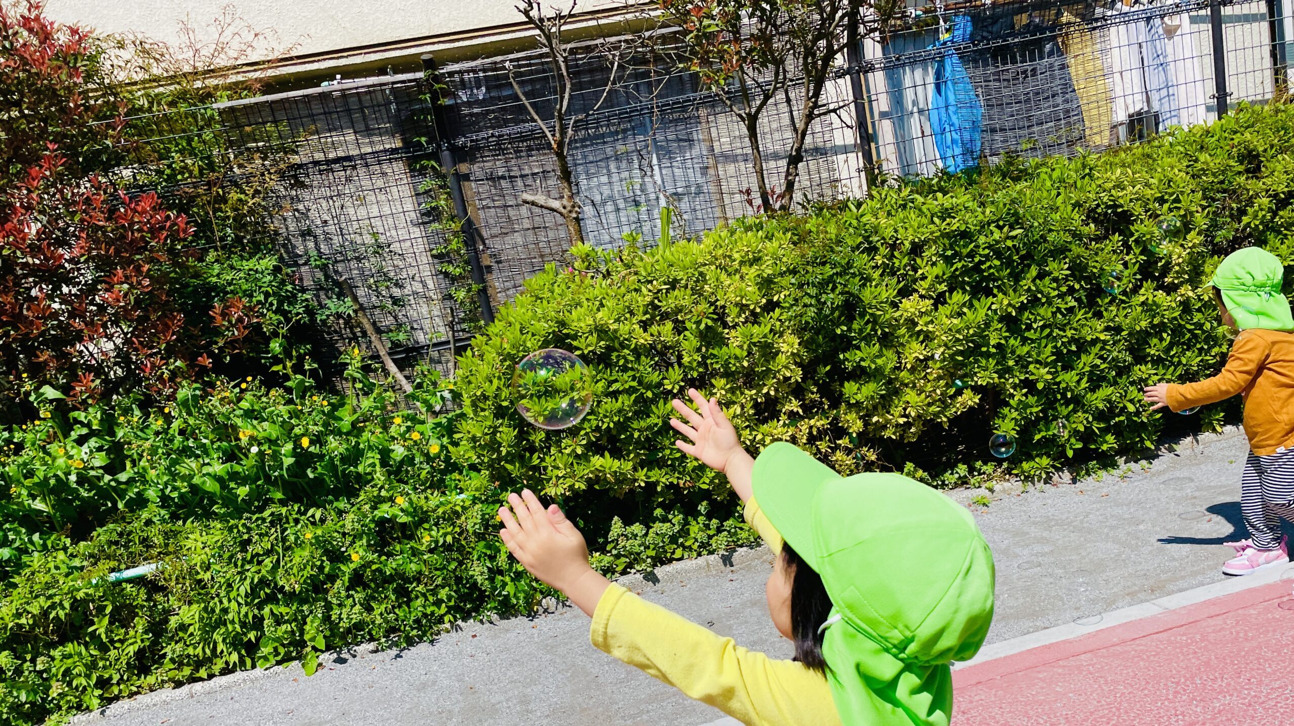 毎日の保育