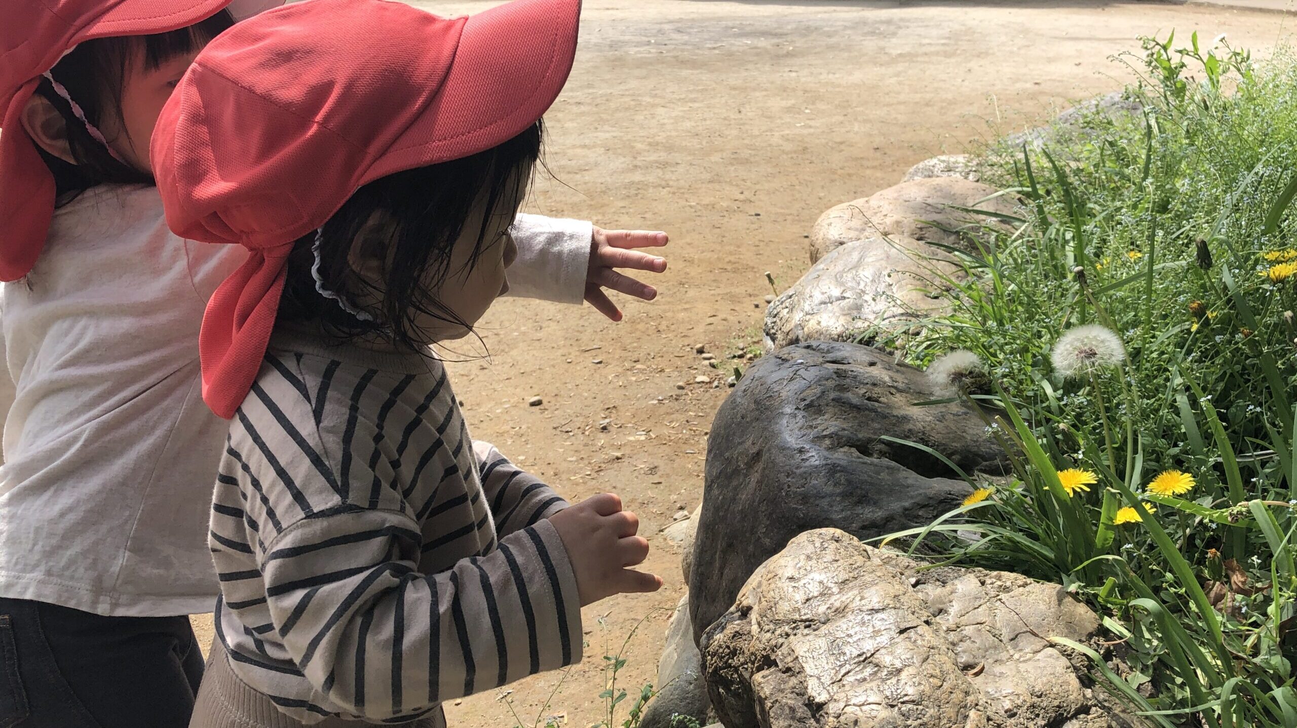 毎日の保育