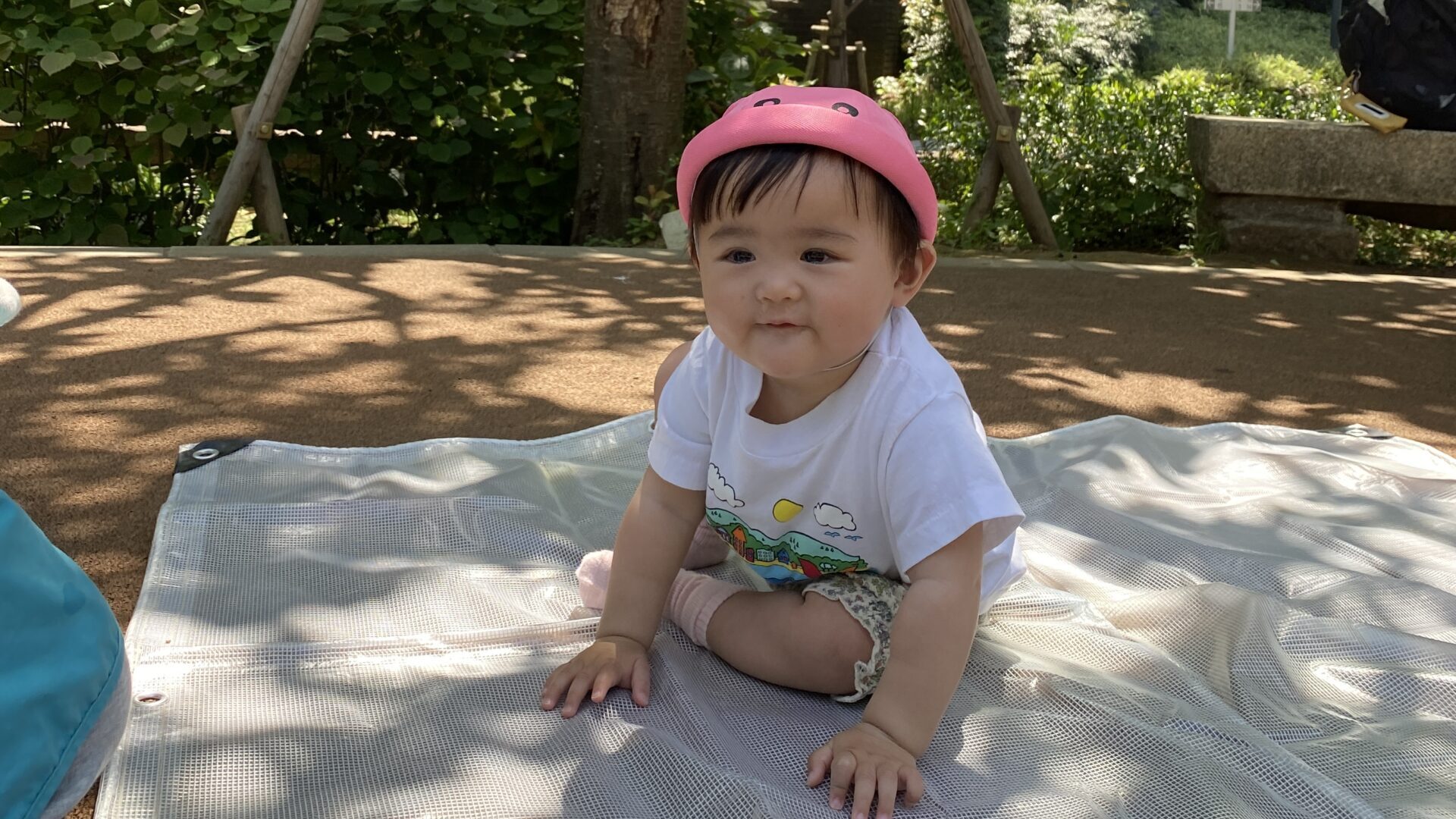 毎日の保育