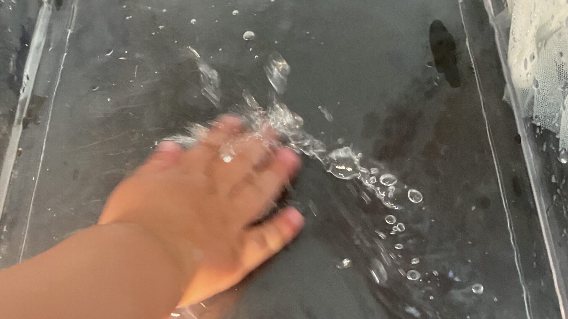 毎日の保育