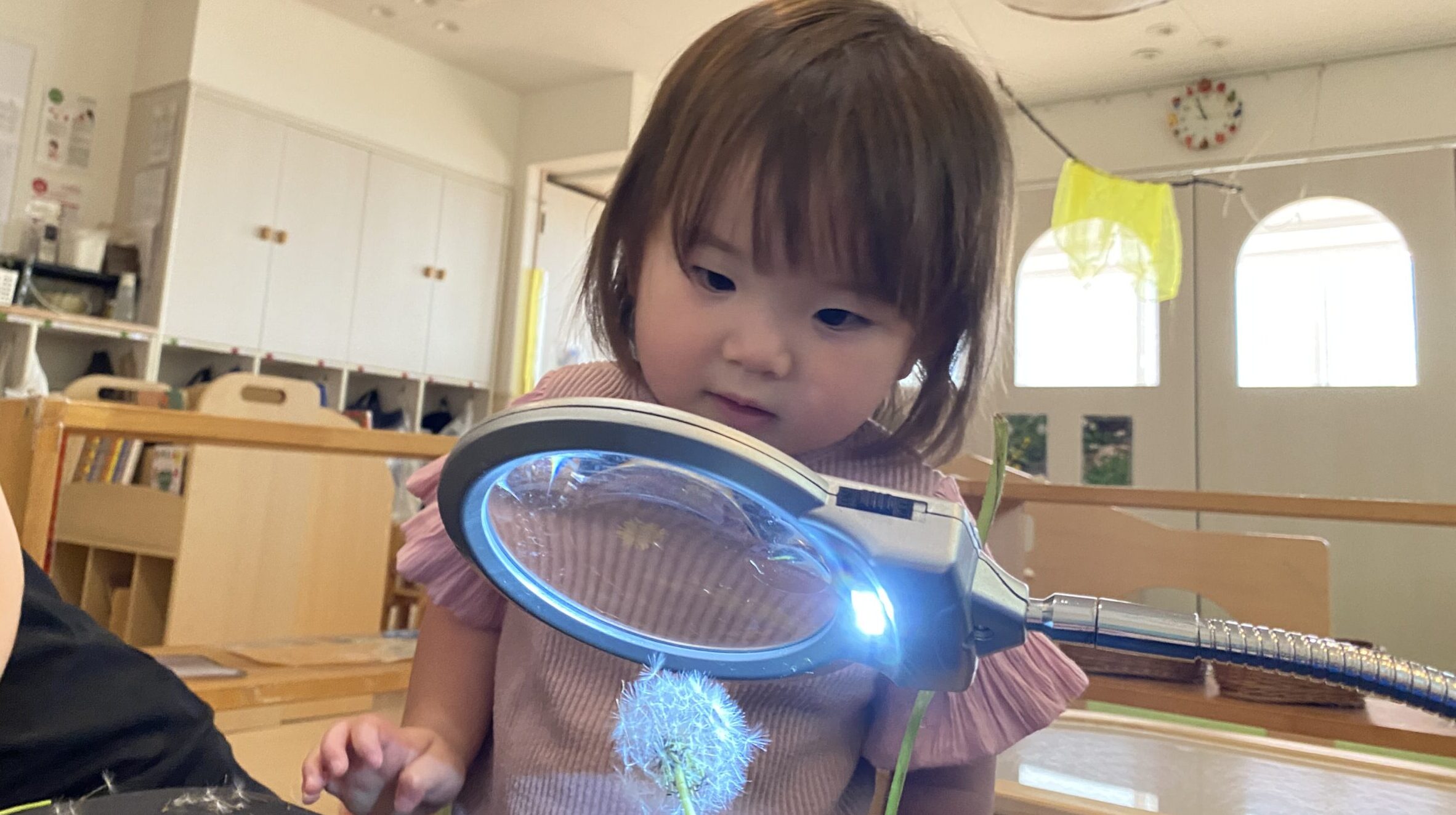 毎日の保育