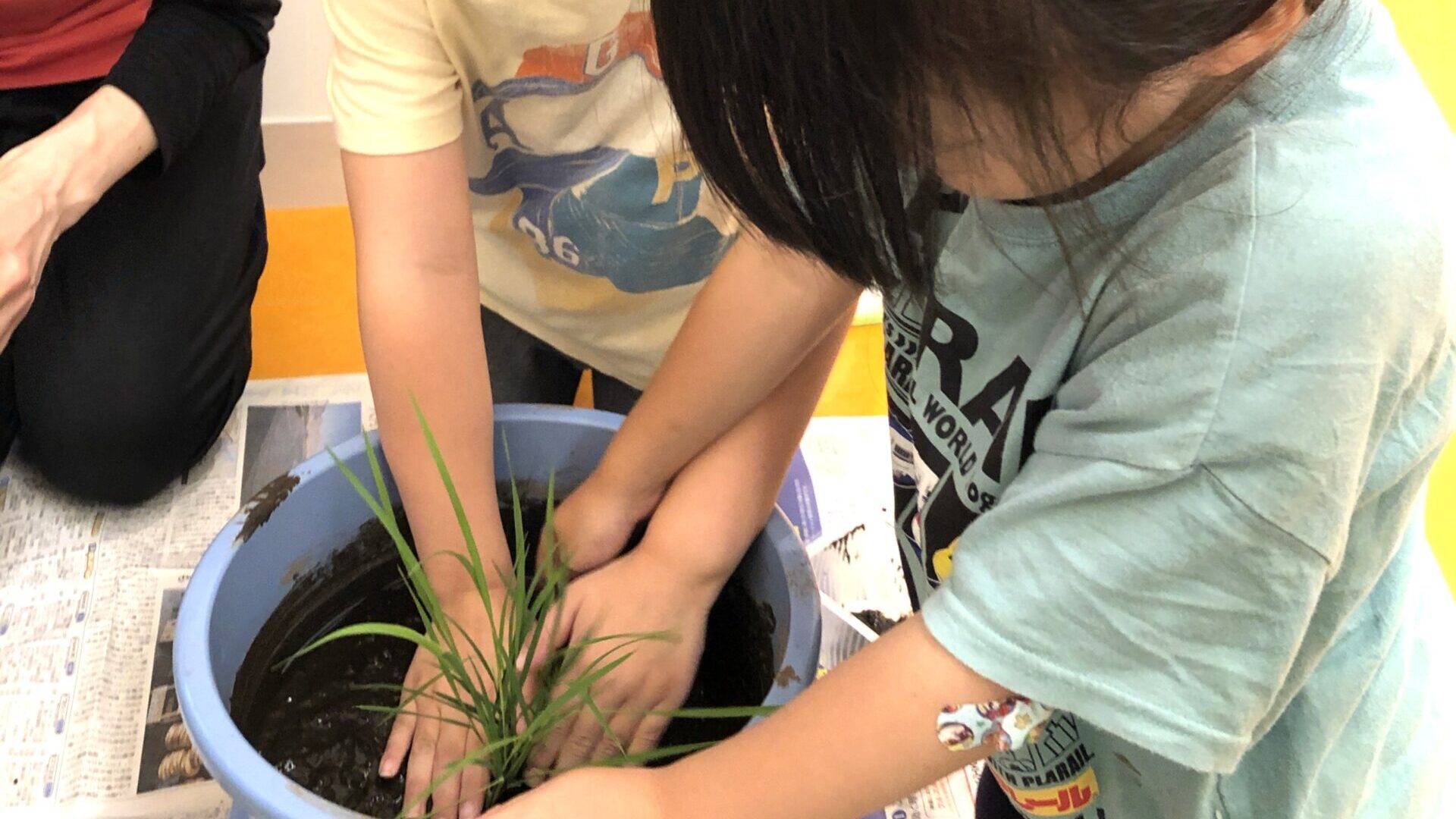 毎日の保育